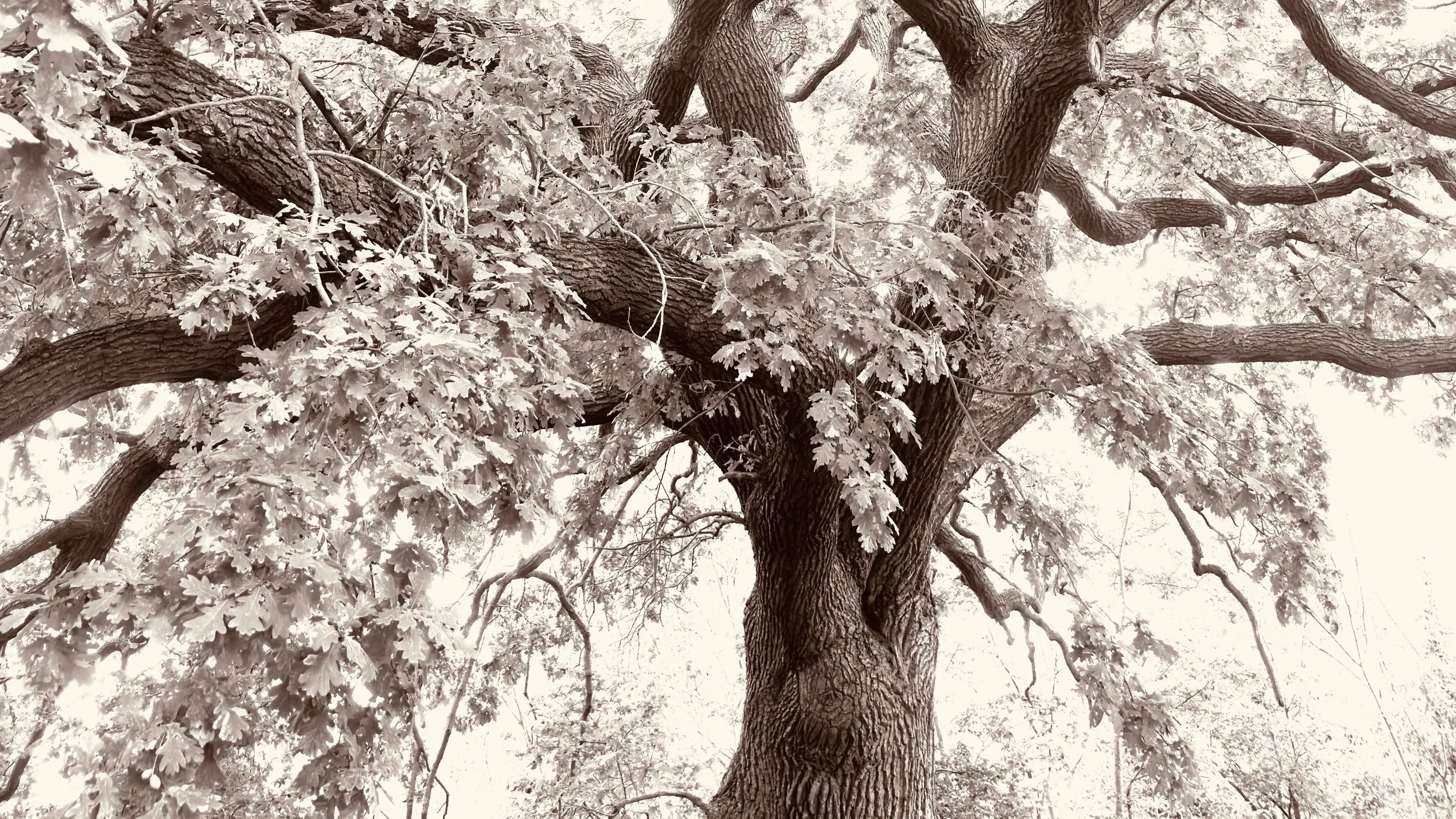 Walton Art Club Spring Exhibition