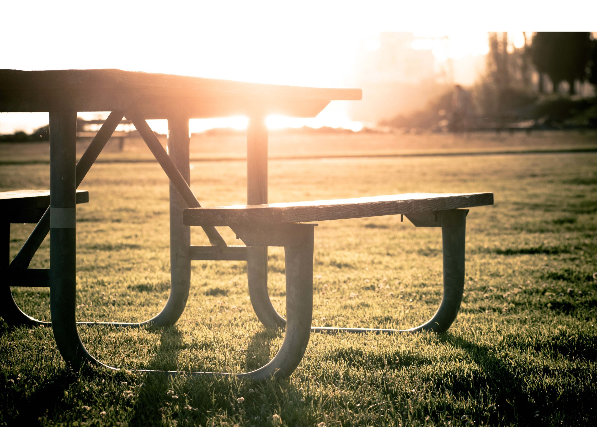 Picnic table.jpg