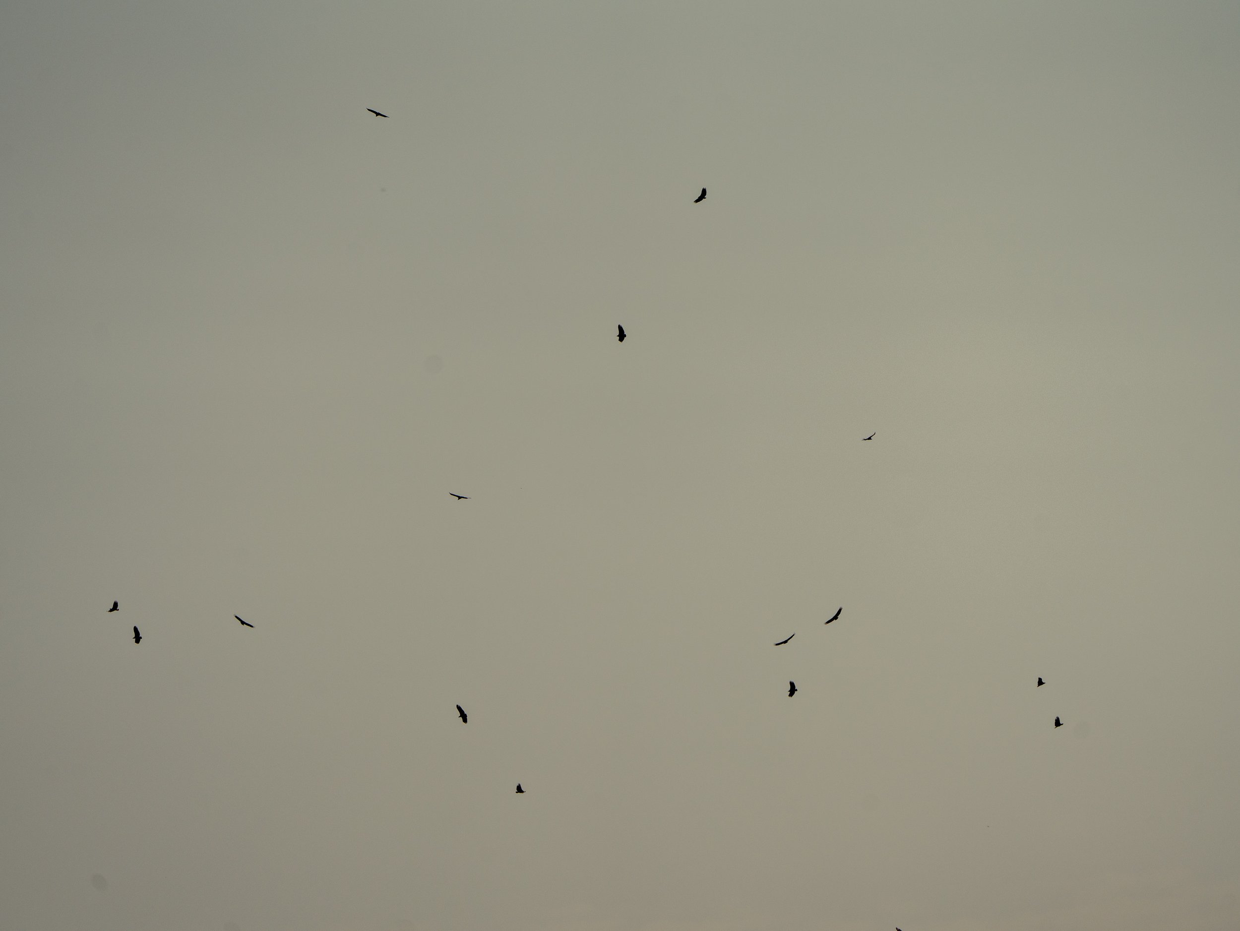 10_20240830_Paititi_1829.jpg