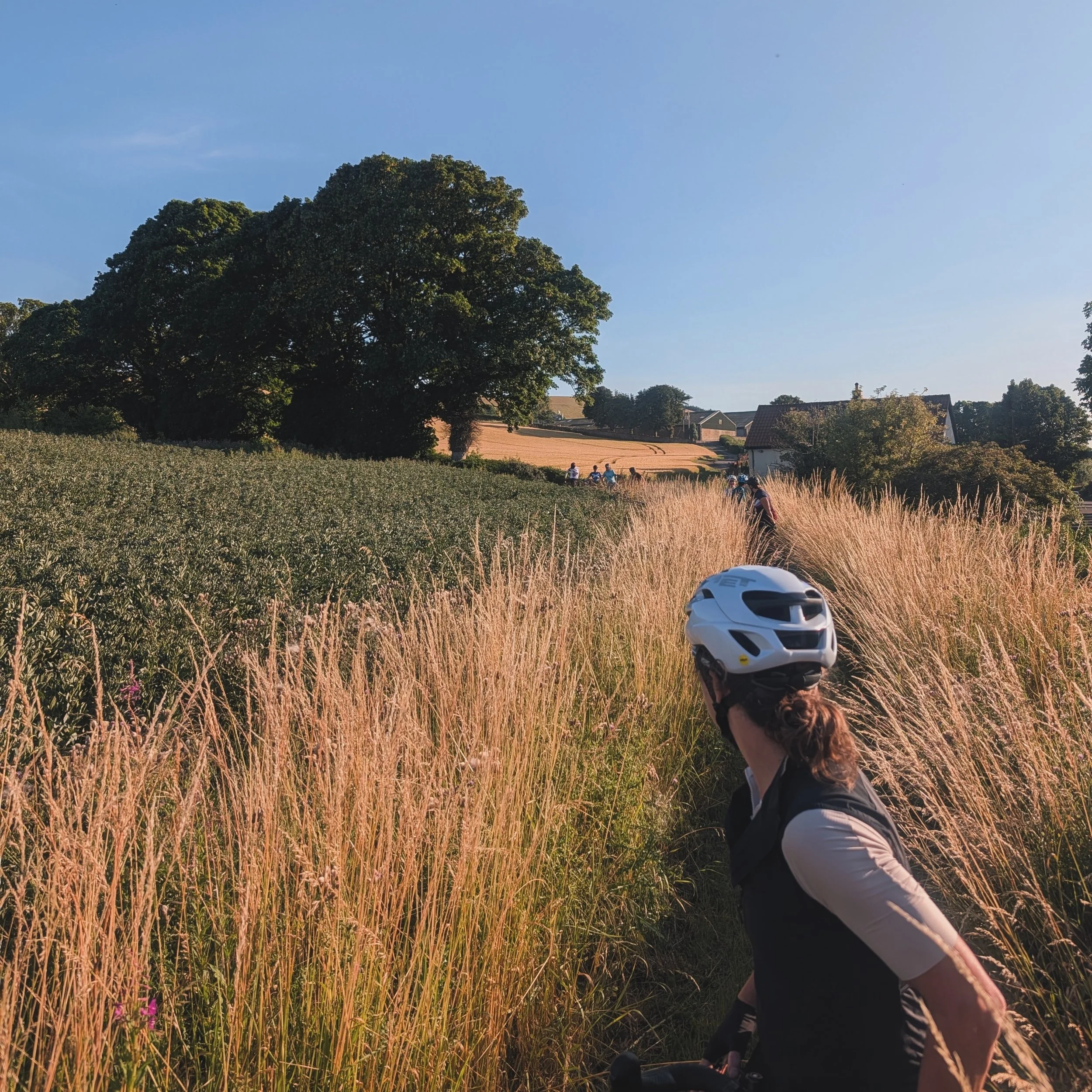 Great ride last night! Nothing beats exploring the East Lothian gravel on a summer evening.

#hervelo #gravelriding #eastlothian #womenscycling #scottishcycling