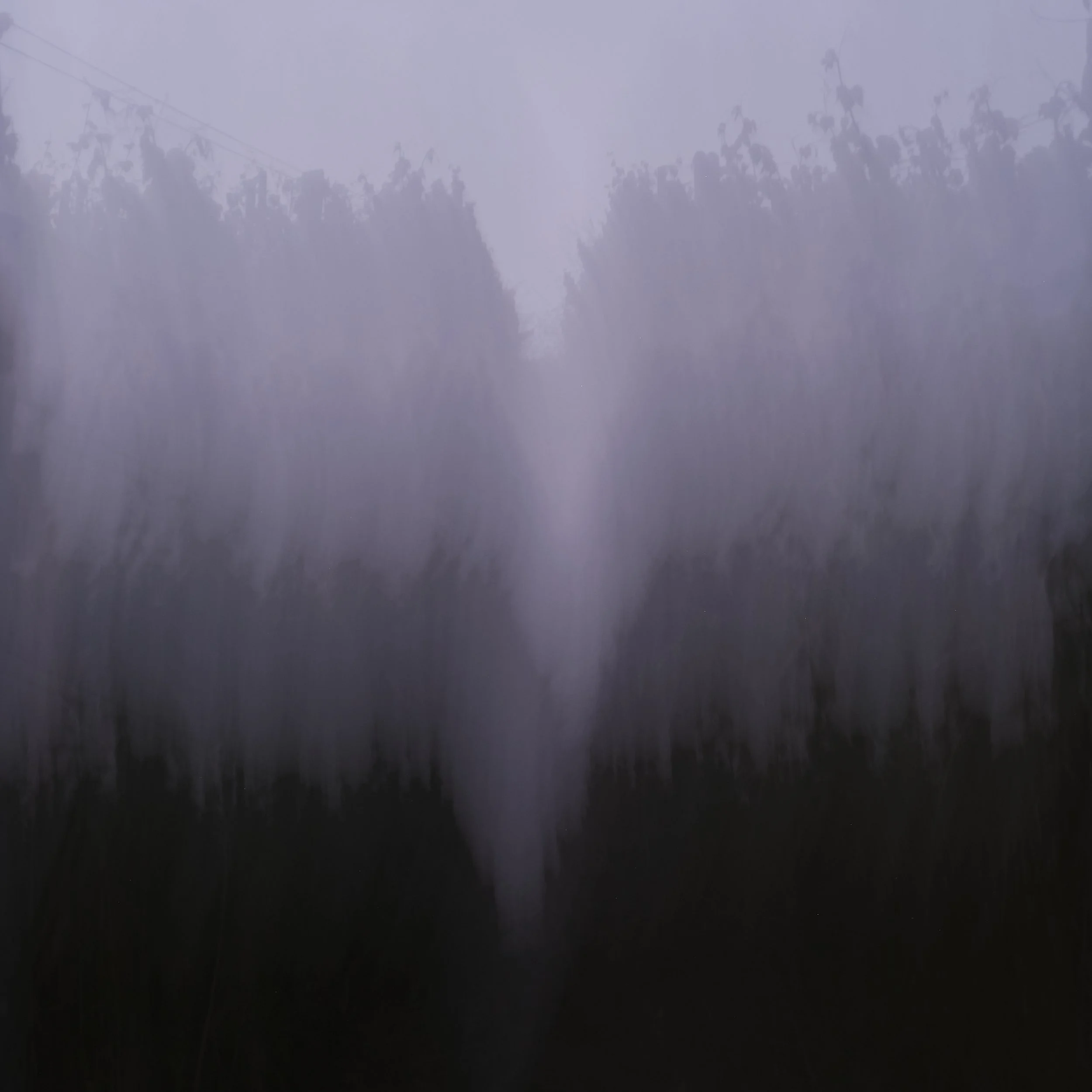 IN A DREAM II © Fernando Saccà.jpg