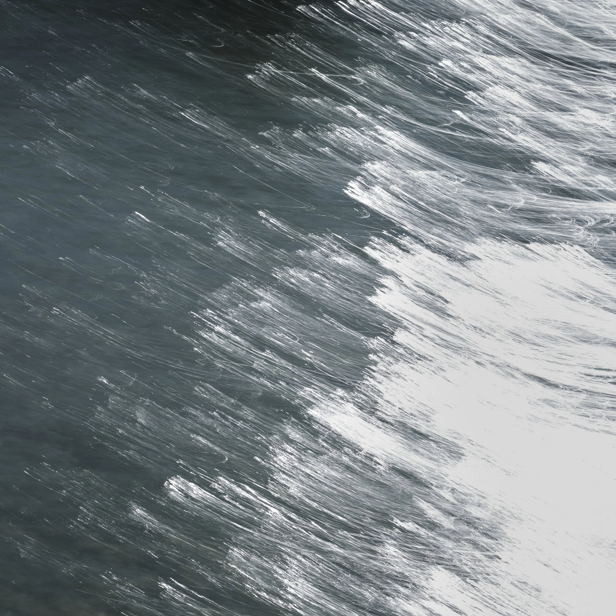 RACE V © Fernando Saccà.jpg