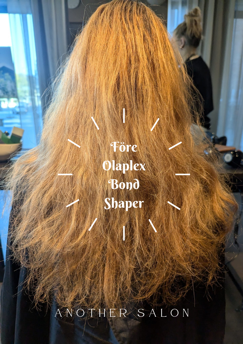 Another Salon Mailchimp-4.png