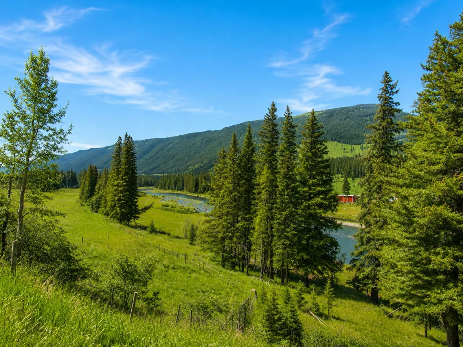 Michel Creek Road River View.jpg