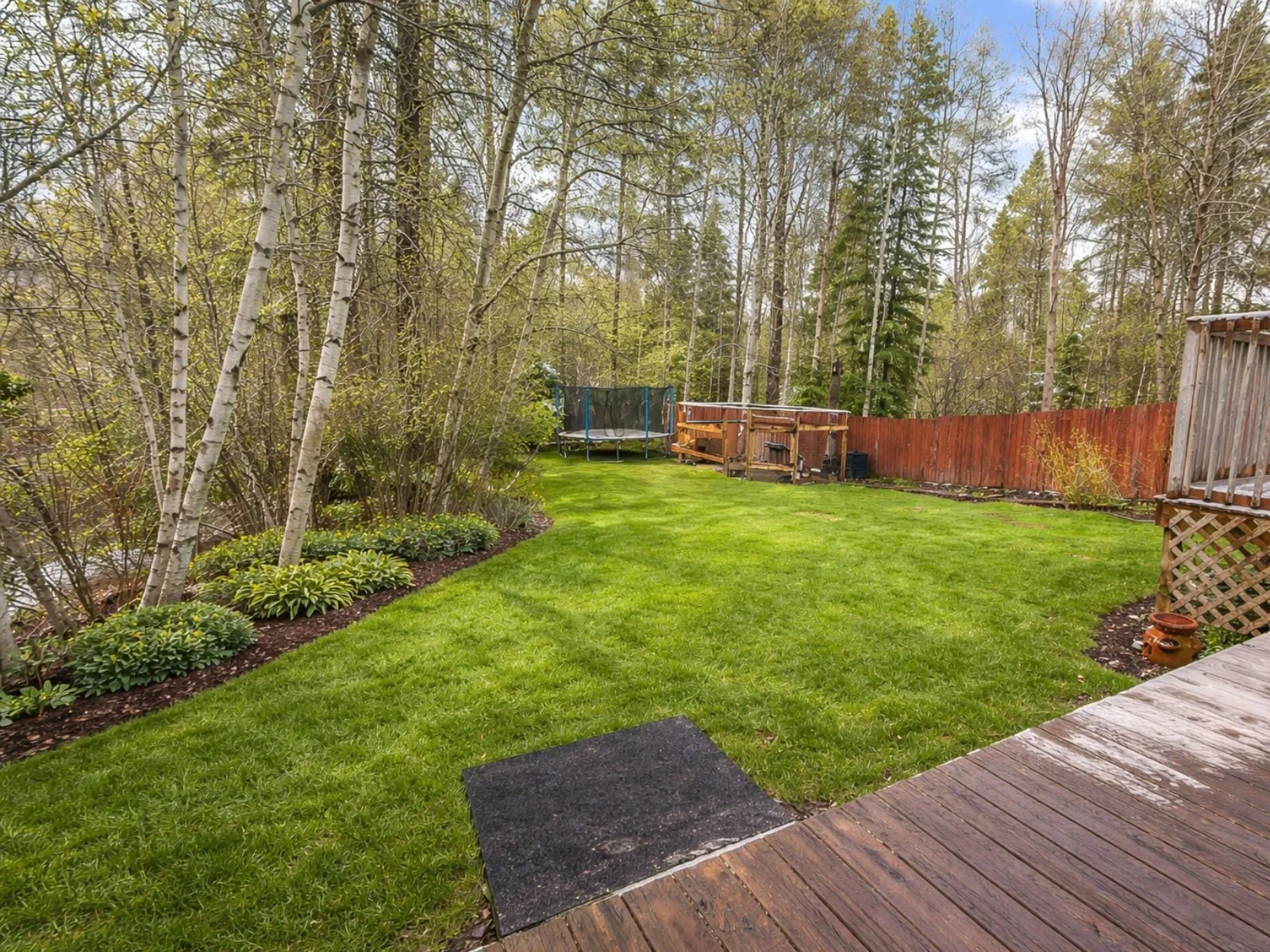 11 Ridgemont Drive Backyard.jpg