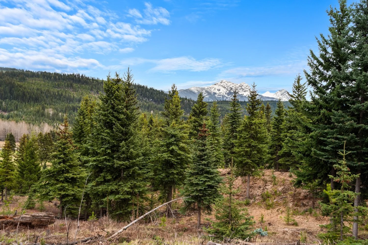 COPY FOLDER NAME-24.jpg