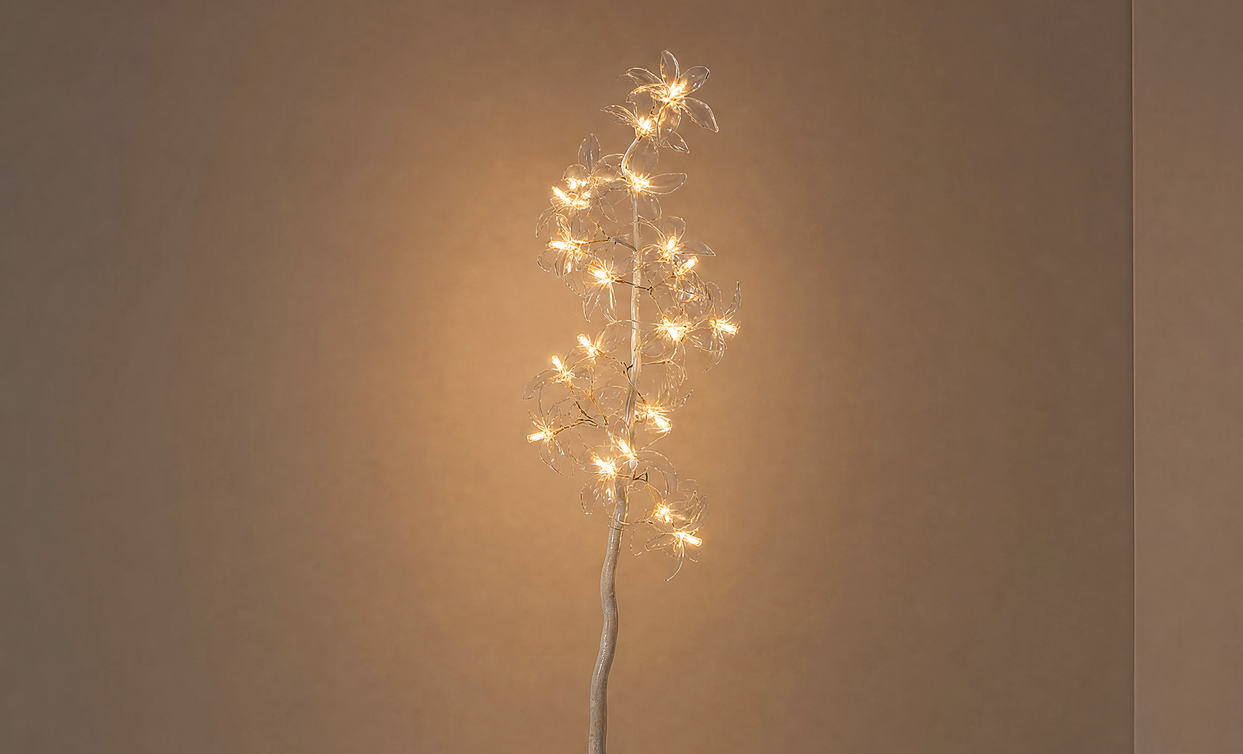   Flower Lamp , Floor Lamp, 2024, 18.2 × 14.7 × 59.7 inches, limited edition of 200, Produced by TAIRANHAO STUDIO® 