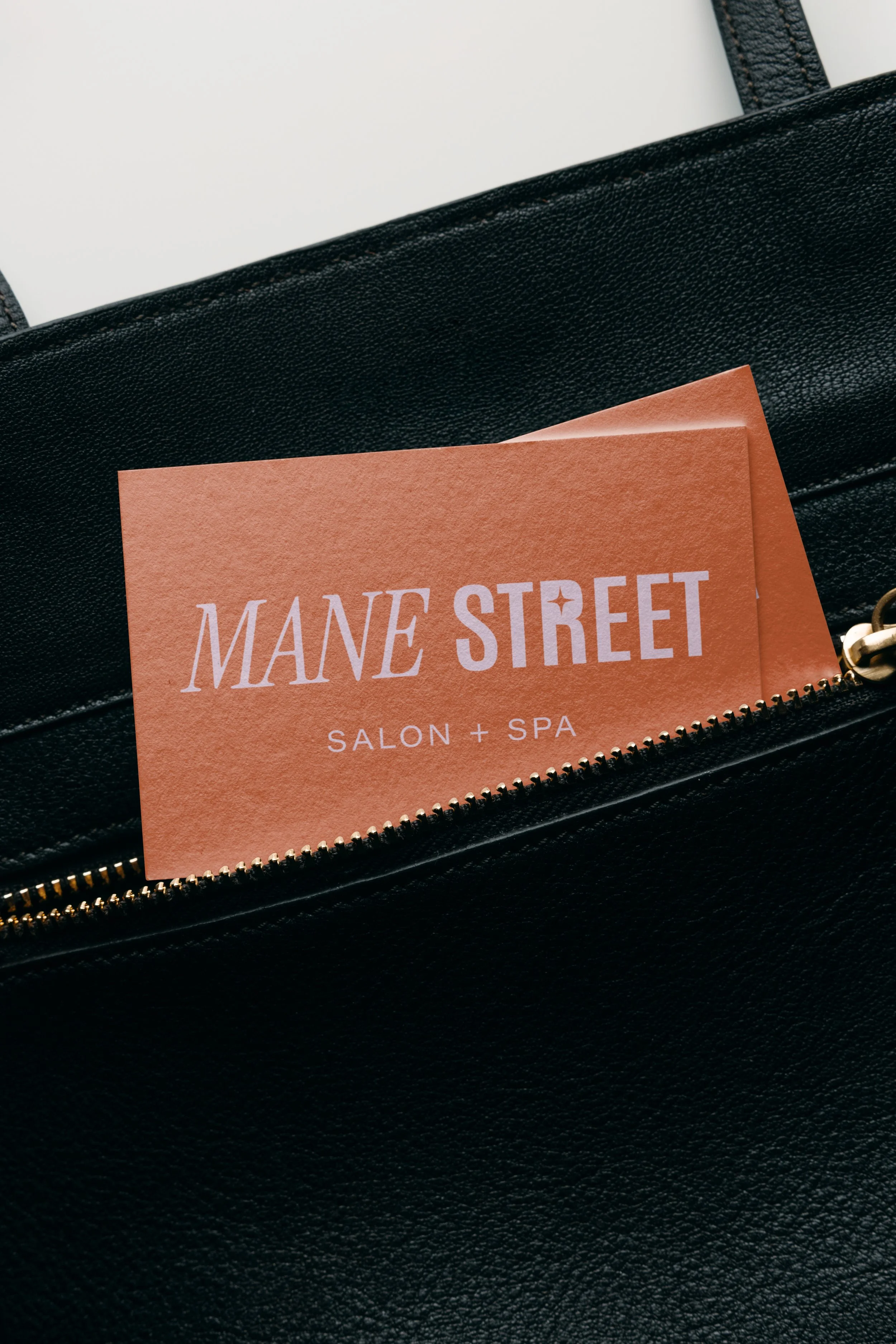 Mane St. biz card bag.jpeg