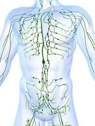 Lymphatic Drainage