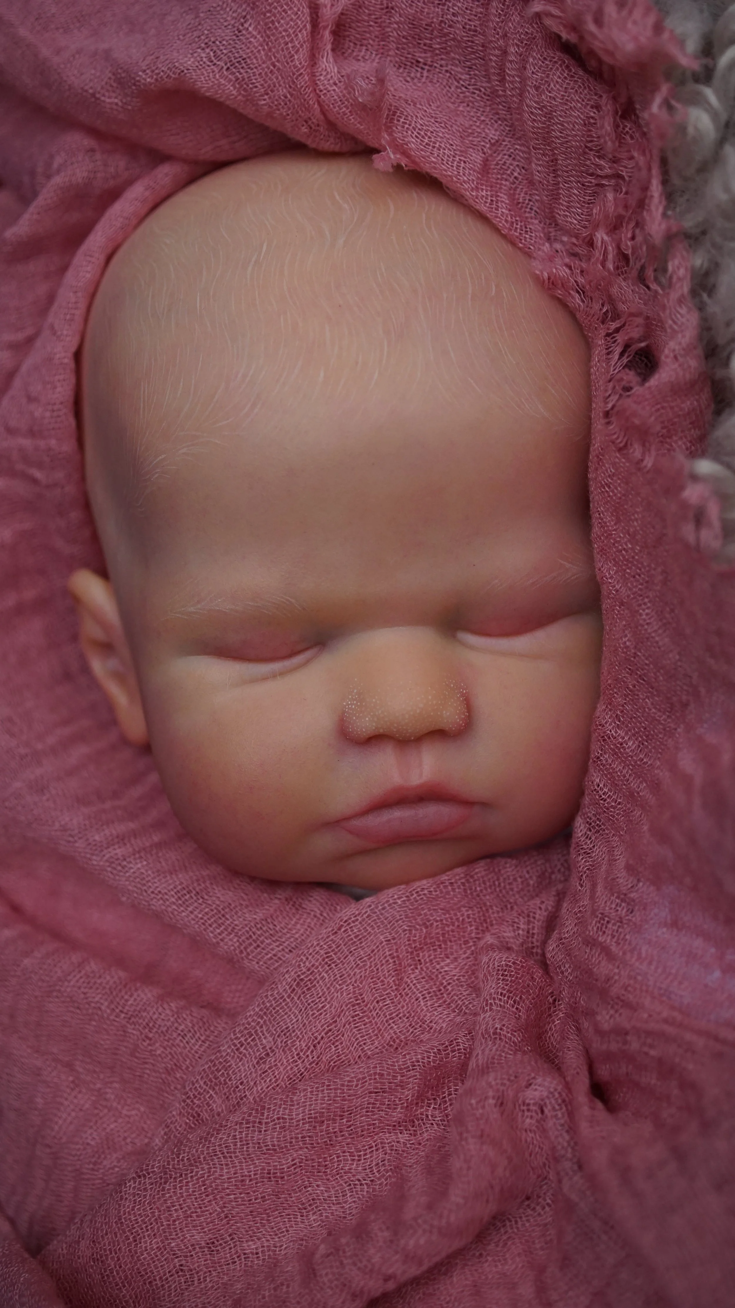DSC09224.JPG