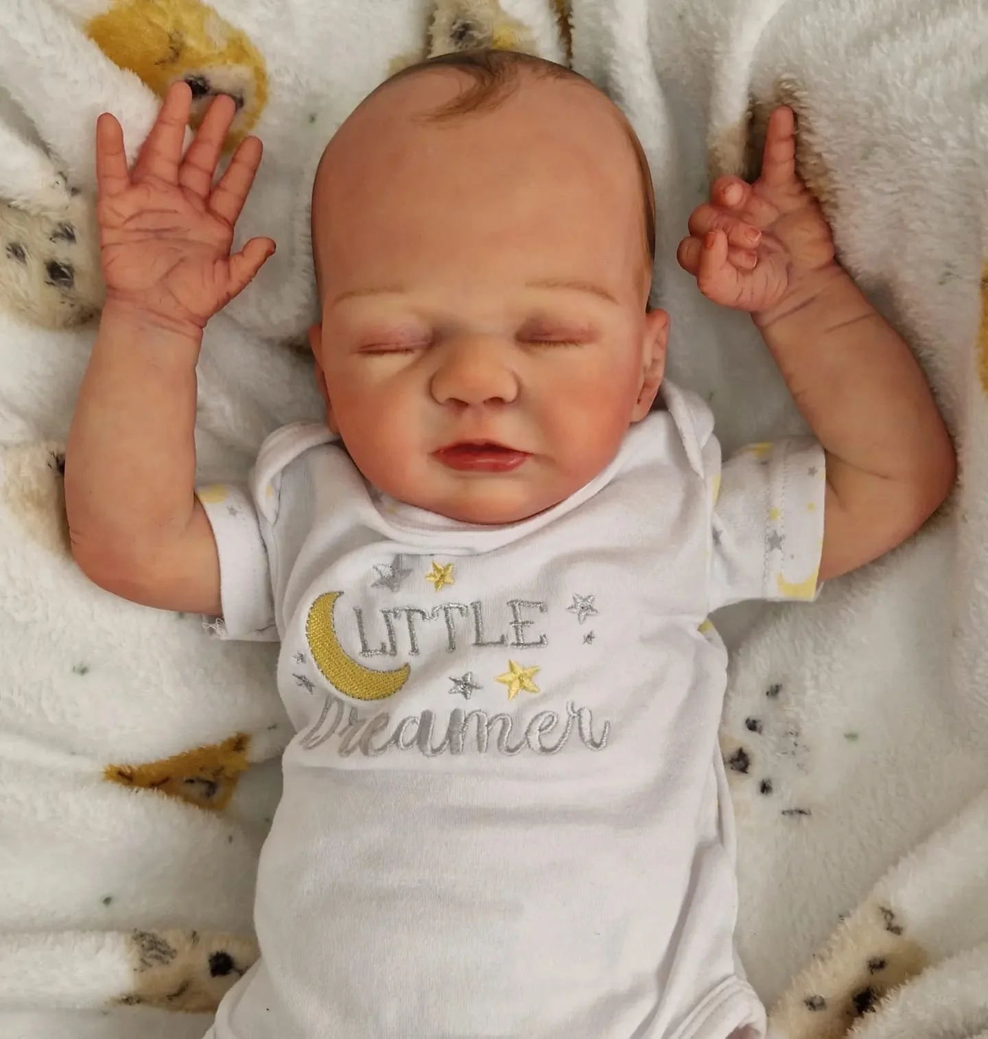 Quinn Assembled.jpeg