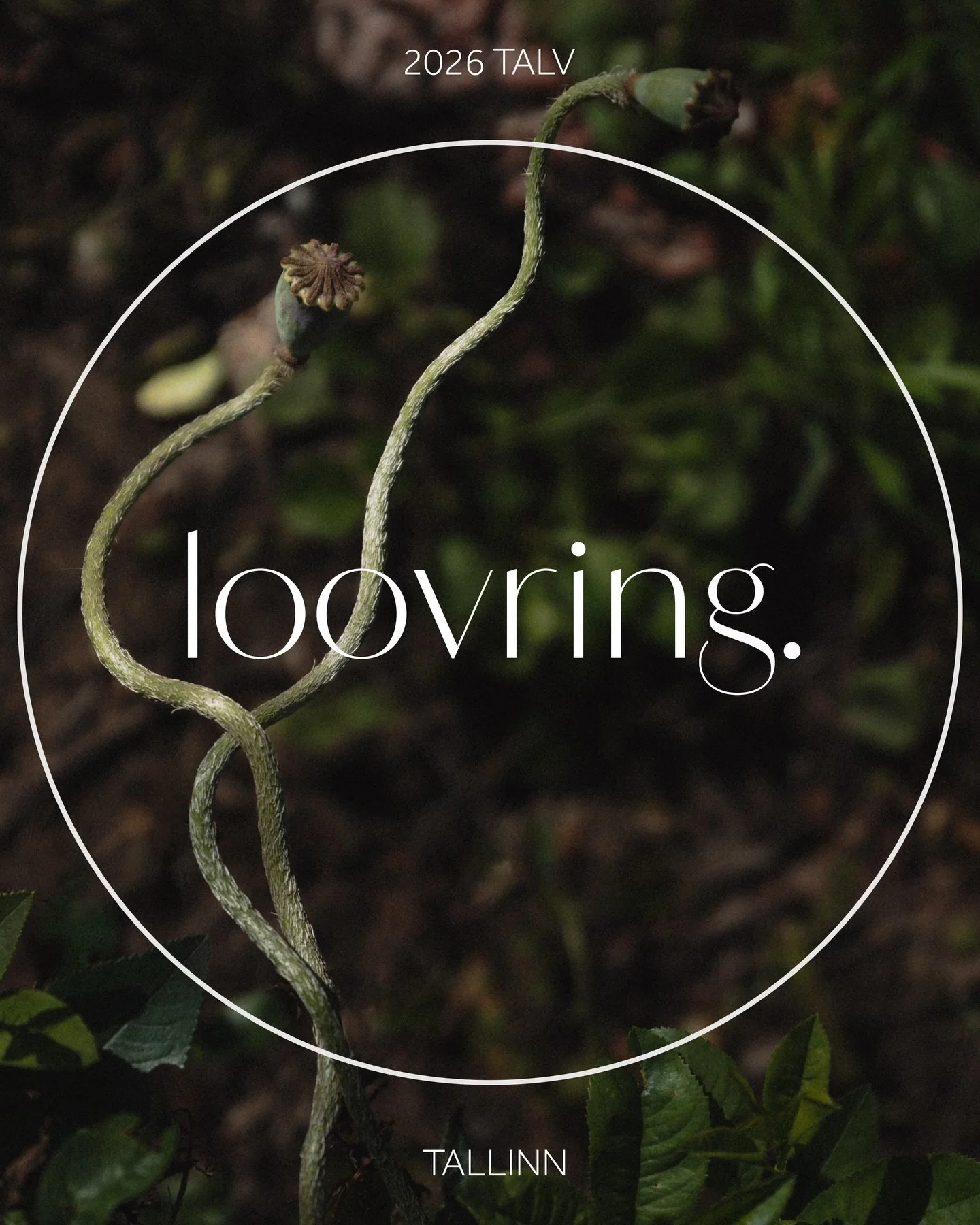 IV LOOVRING ⭐️ TALV 2026 | alustame 20.01

Umbes t&auml;pselt aasta aega tagasi alustasin oma esimese loovringiga. Selle ajendiks olid &uuml;sna isekad p&otilde;hjused &mdash; nimelt igatsesin &uuml;ht m&otilde;nusat ringi, kus regulaarselt kokku tul