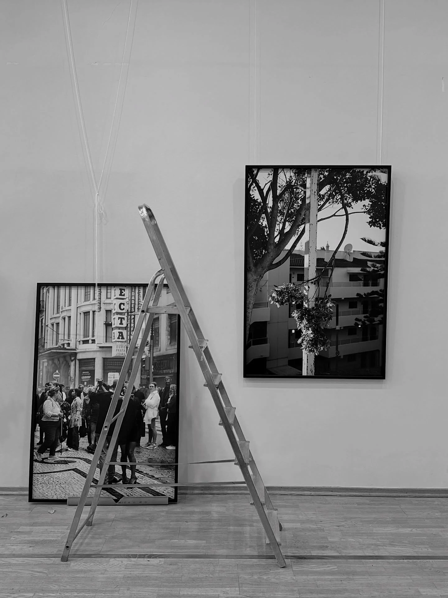 Telgitagused t&auml;nasest &bdquo;A(r)mor&rdquo; n&auml;ituse installist &hearts;️ N&auml;itus on juba homsest avatud &amp; ootab k&uuml;lastajaid! Aga pidulik avamine toimub 11.03 kell 16.30 FotoFesti raames 🥂

Suur-suur t&auml;nu t&auml;nasele pai