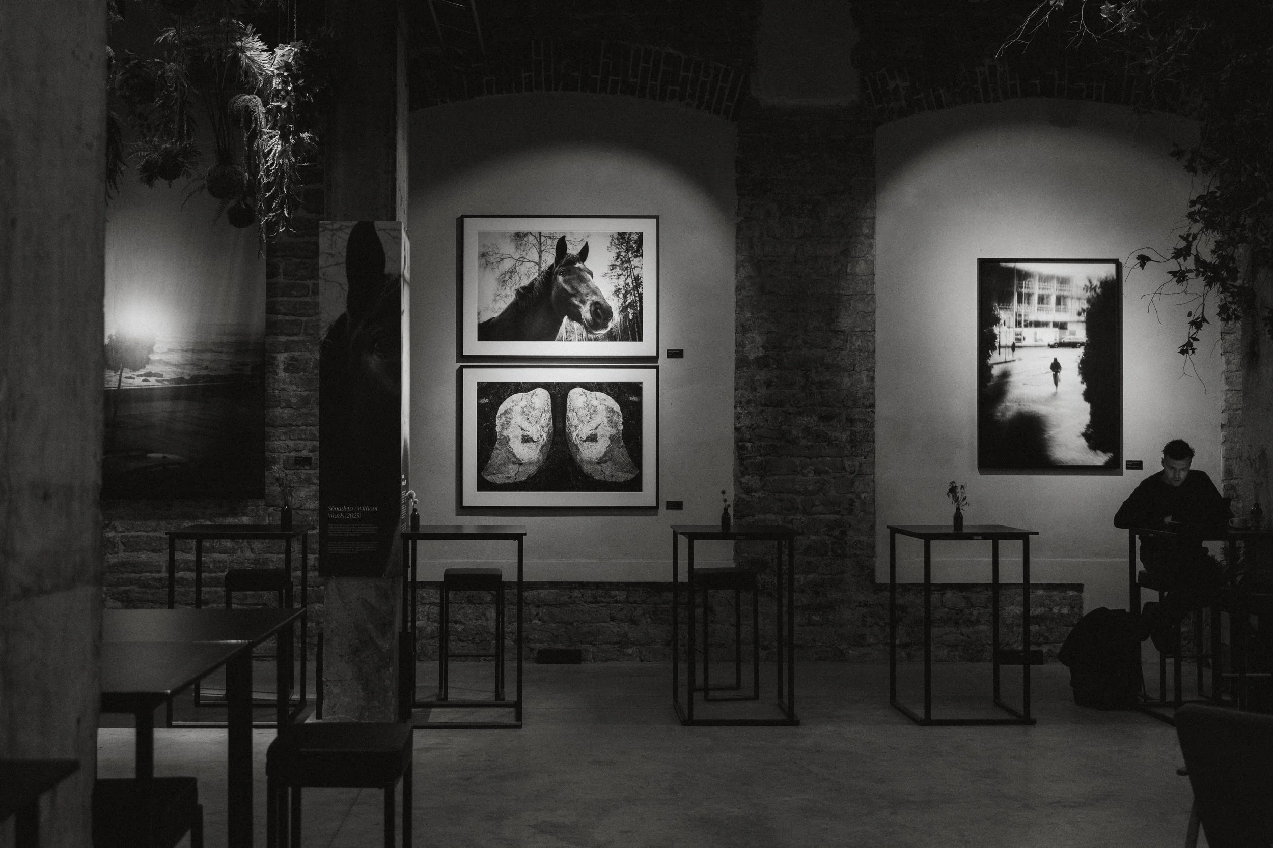 FOTOGRAFISKA-VAATED-11.jpg