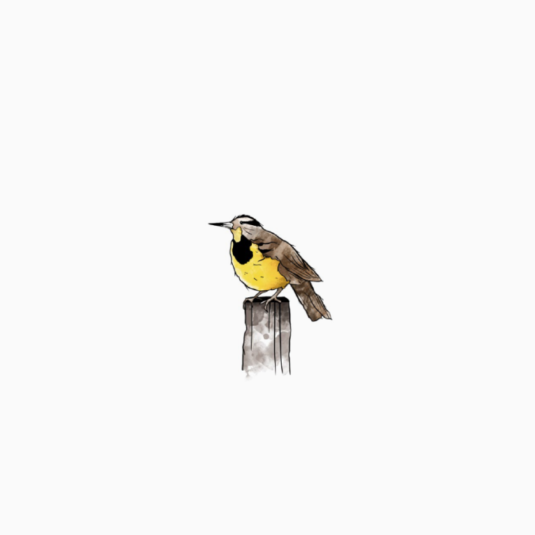 Bird1.png