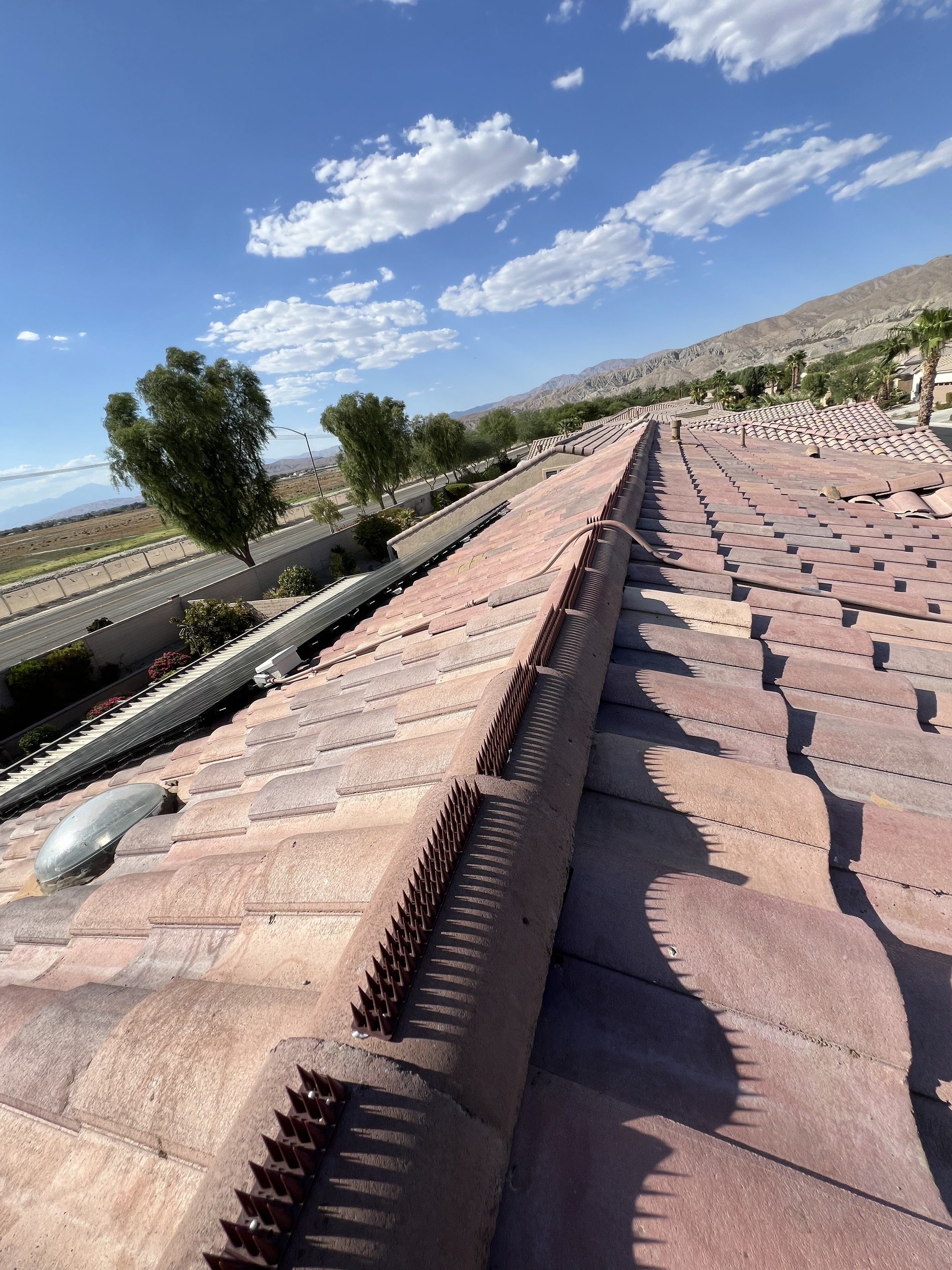 F8E65465-7F15-4BC4-9139-CAA5AEC46388.jpeg