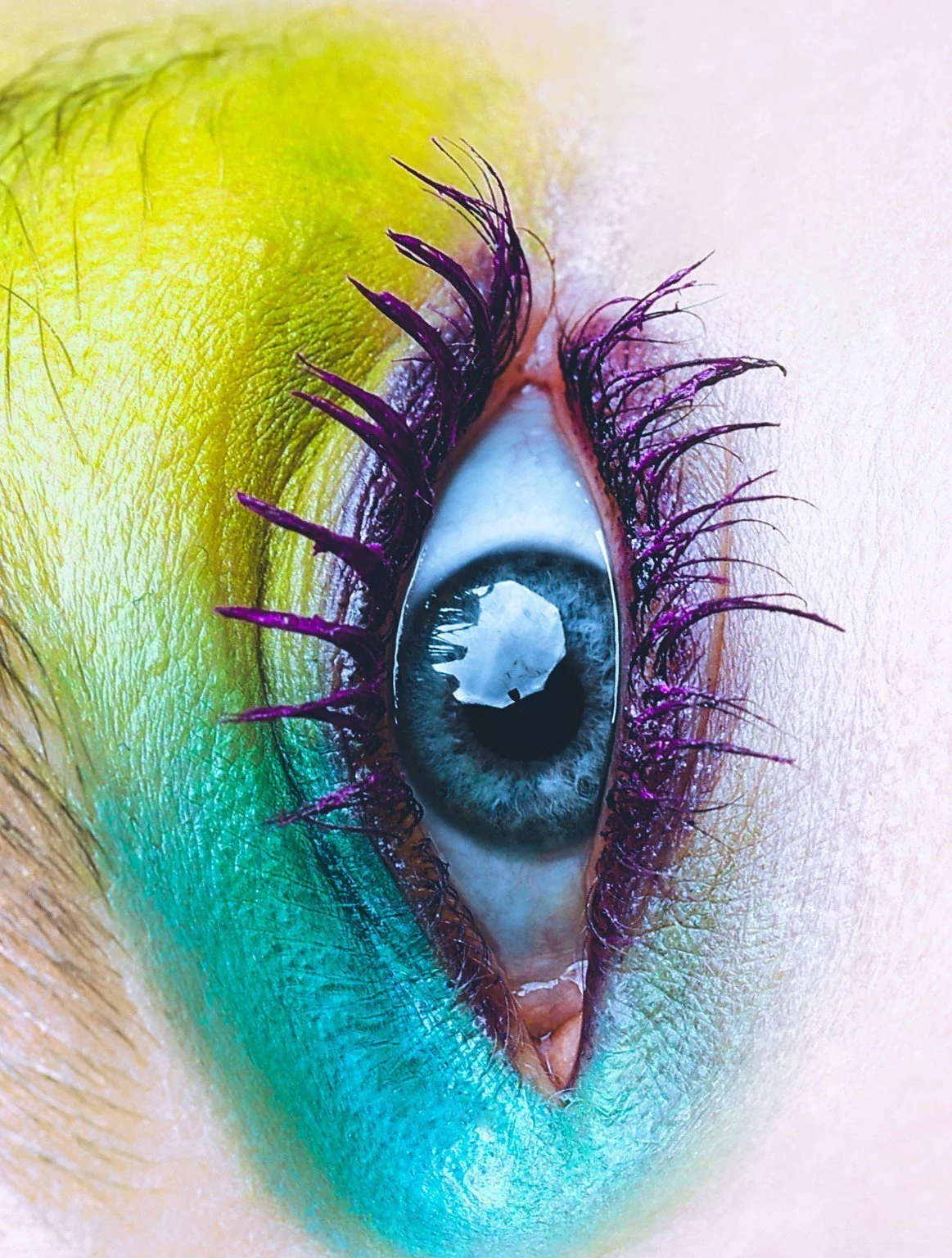 Daphne Look 1 (1).jpg