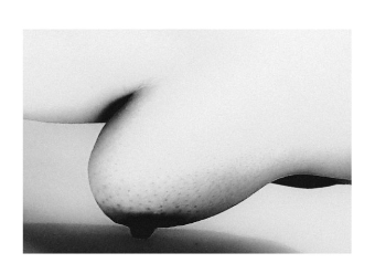 "Disappearing Body #1"