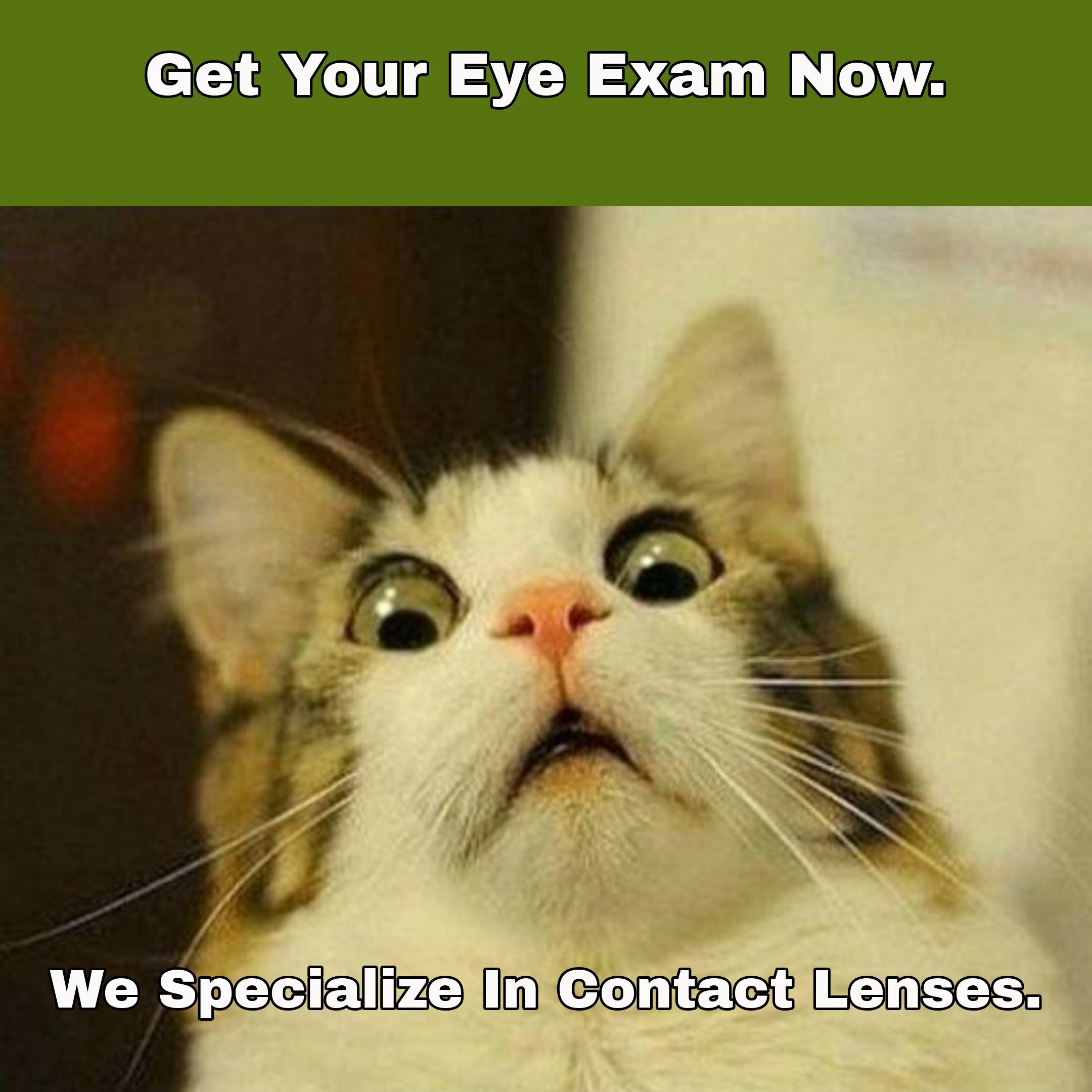 Cat,Eye,Meme.jpeg