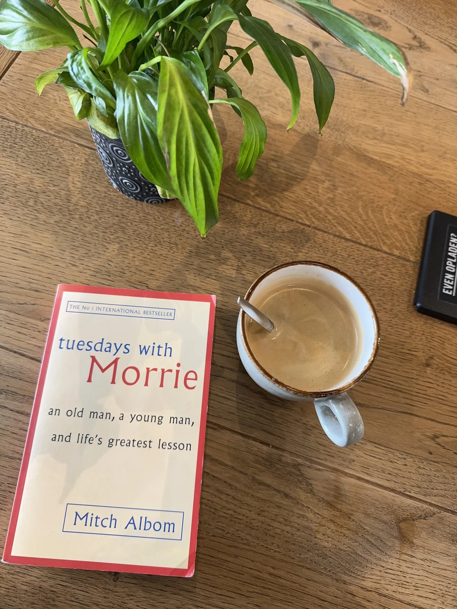 Finding Meaning Across Borders: Lessons from "Tuesdays with Morrie"