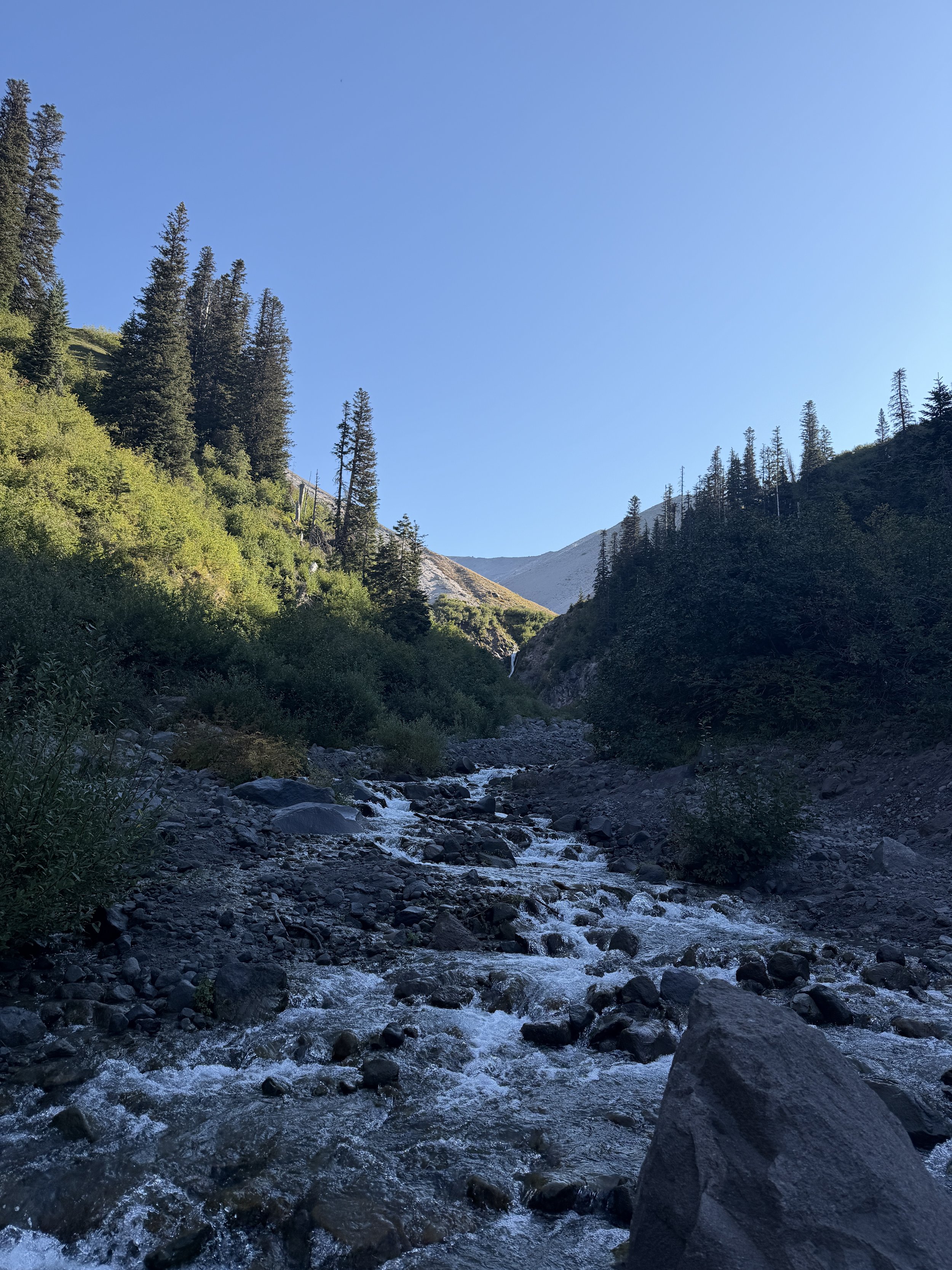 Why External Coaching Transforms Company Cultures