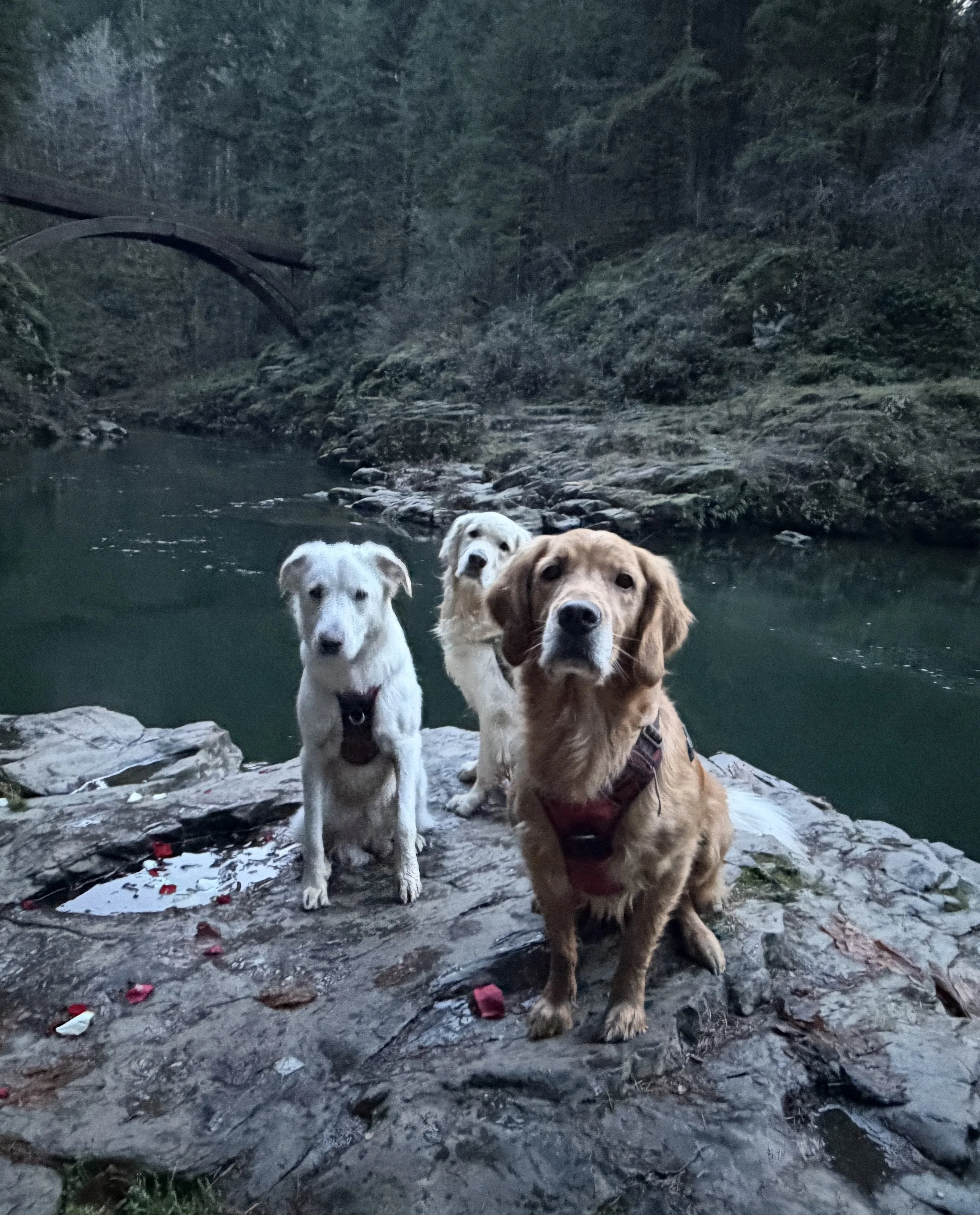 Building Momentum in Your Job Search, Why Wait for the New Year?