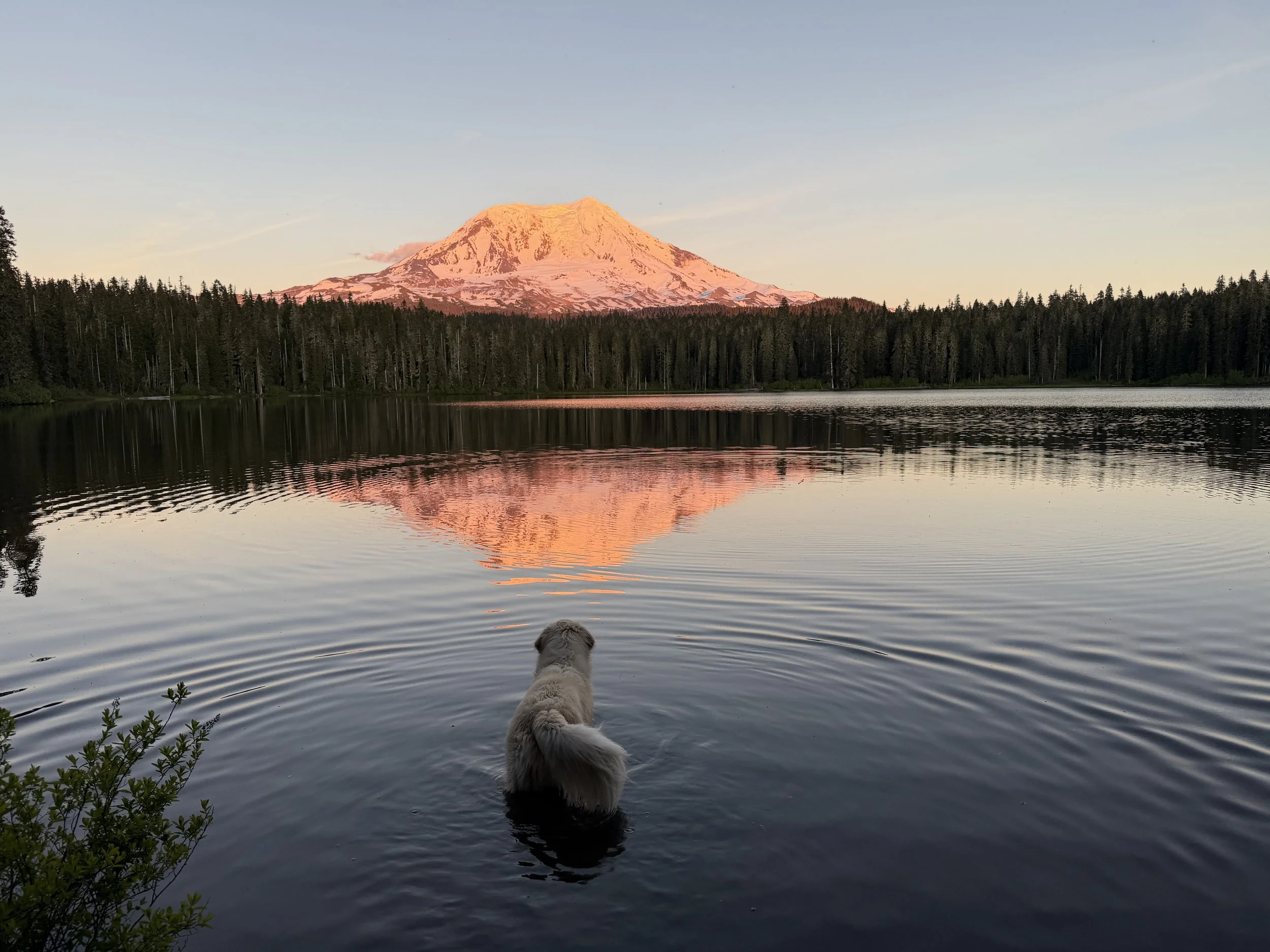 Camp looking at Mt Adams at Sunset