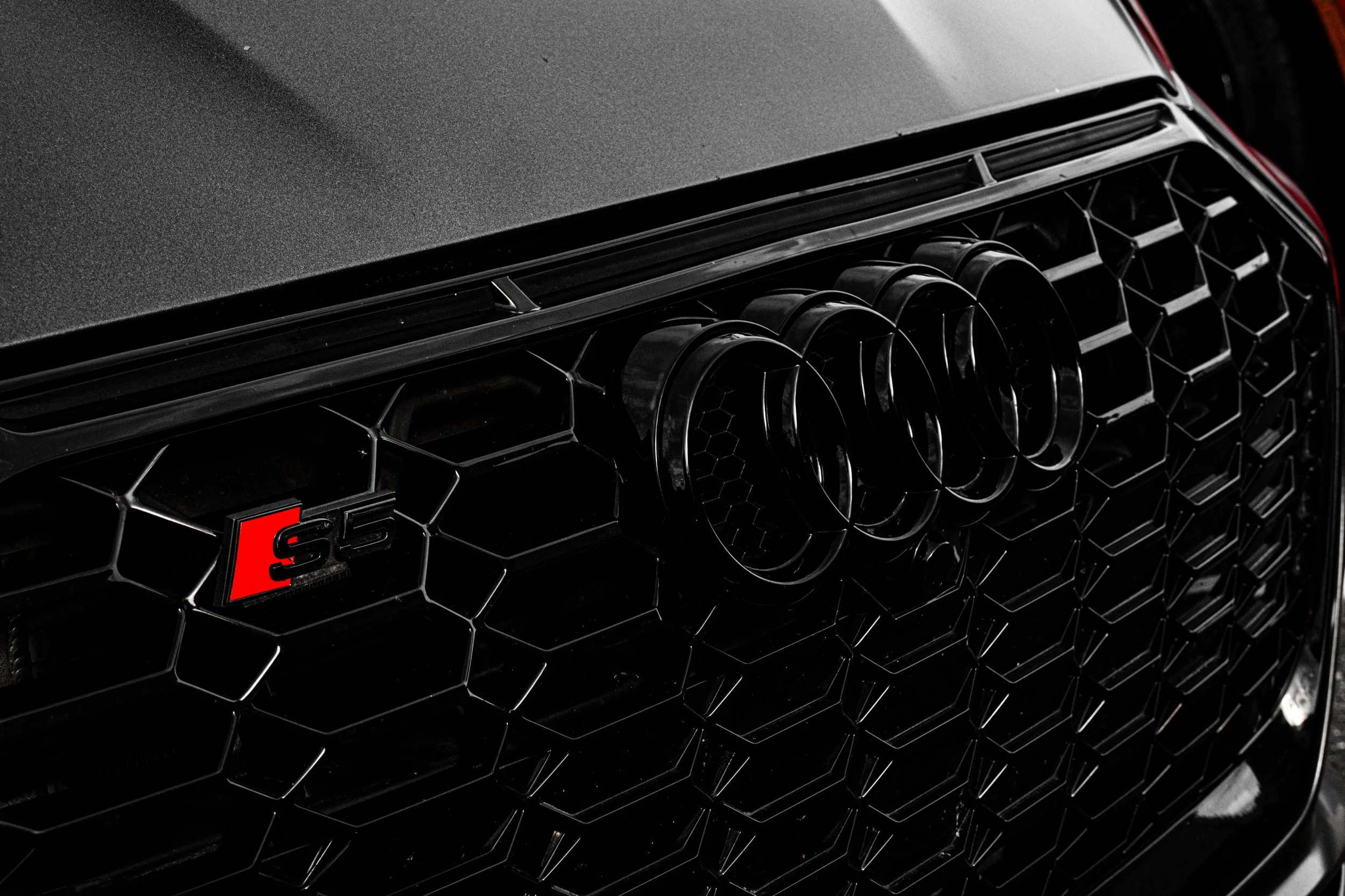 Audi S5.jpg