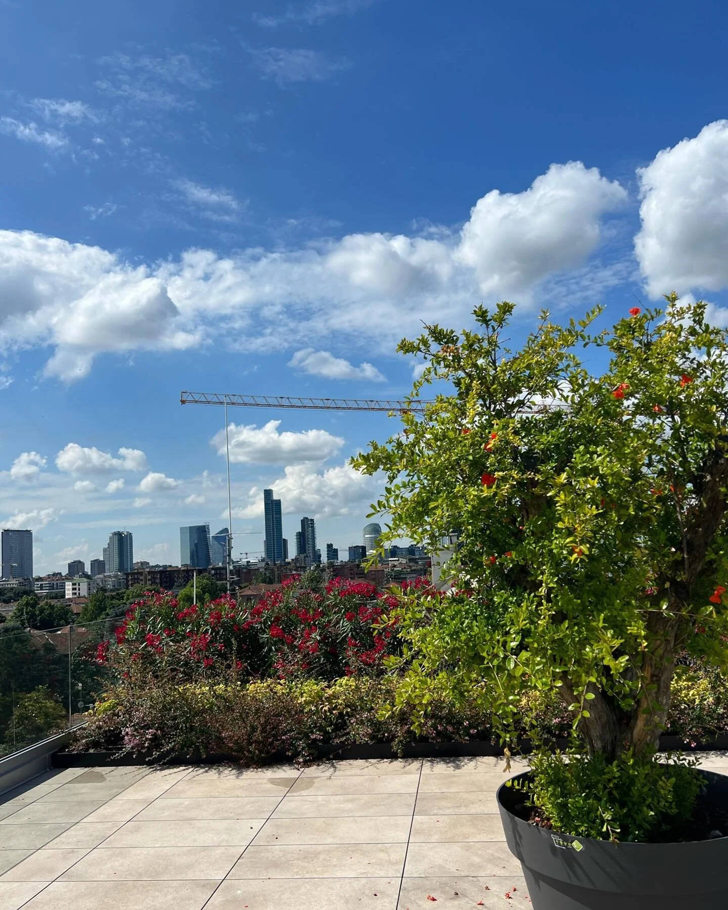Il tetto dell'Arbe 49 si anima di verde e offre una vista mozzafiato sullo skyline di Milano in continua evoluzione.

&bull;
&bull;
&bull;
 #realestate #city #citylights ⁣#travelphotography #ig #photo #view #italy #instagood #likeforlikes #luxury #ci