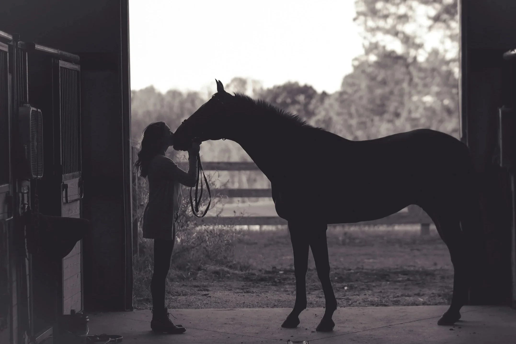 Woman sharing a quiet moment with a Rocky Mountain Horse.