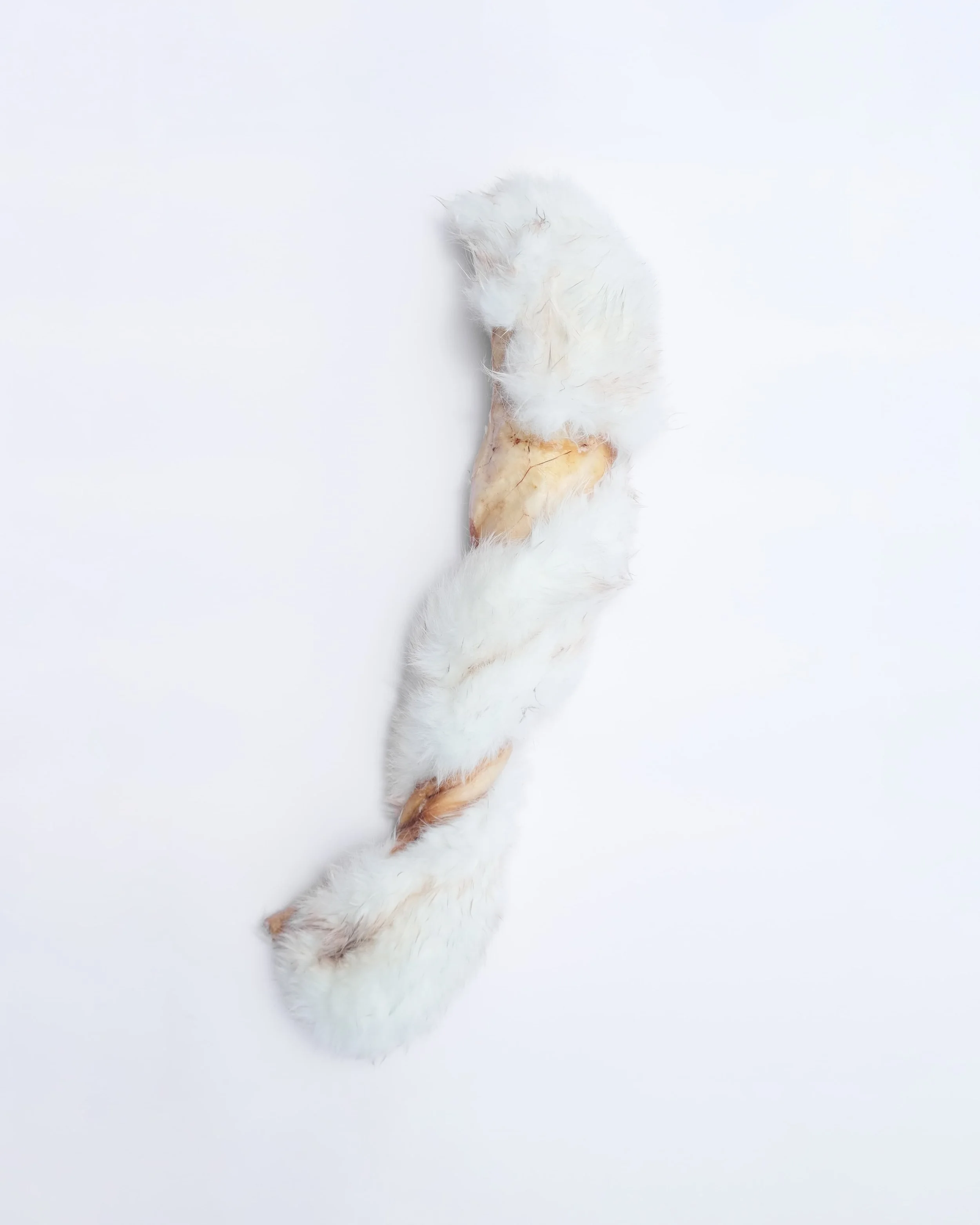 Whole Rabbit Skin Twists