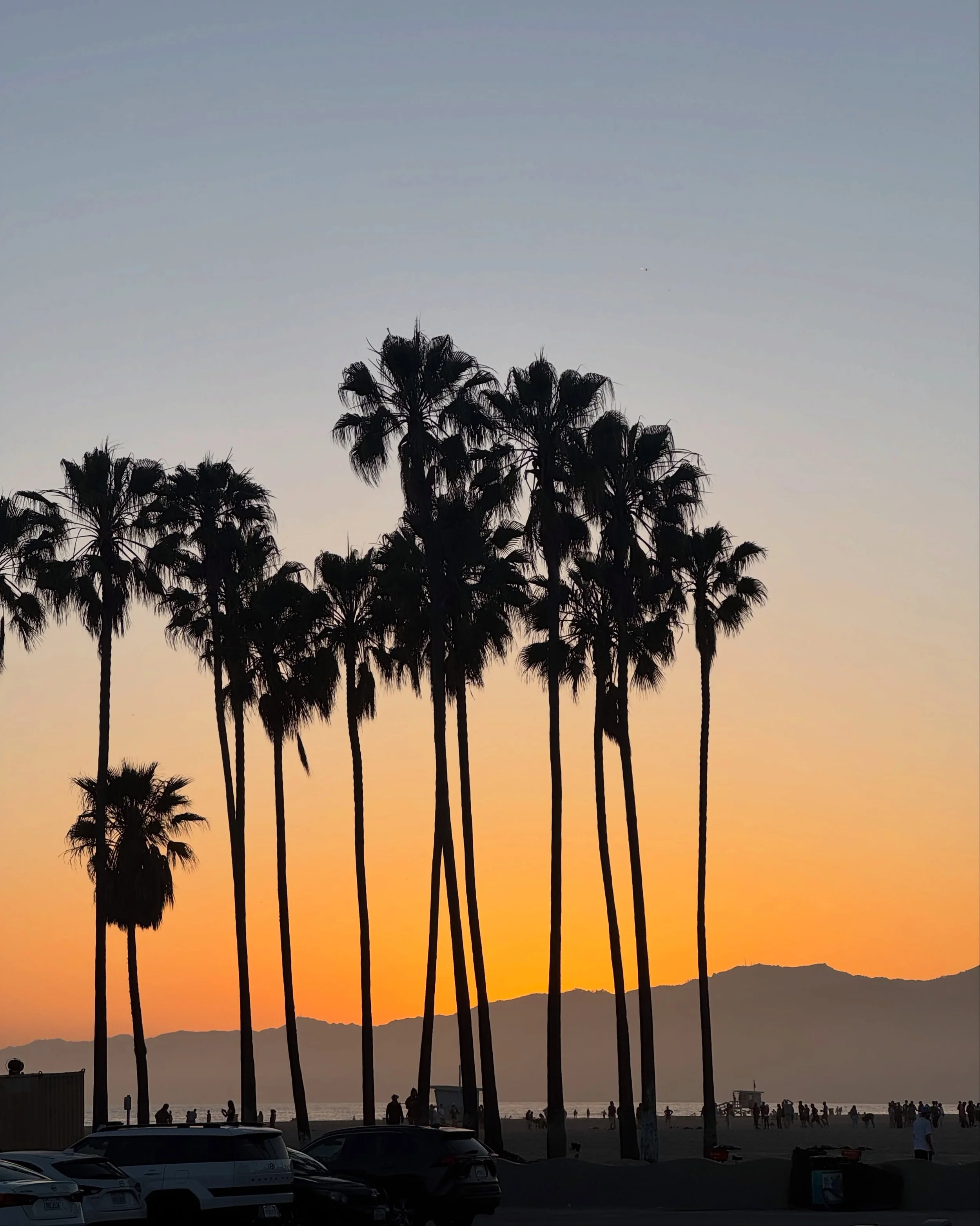 happy one year of this photo dump sitting patiently in my drafts 🌴 i miss LA
(go read slide 5)