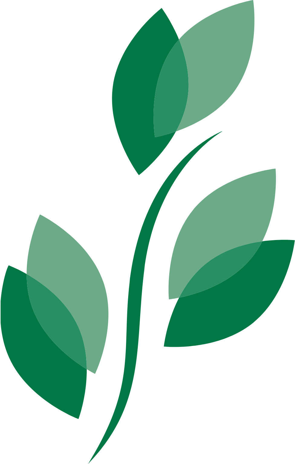 image (2).png