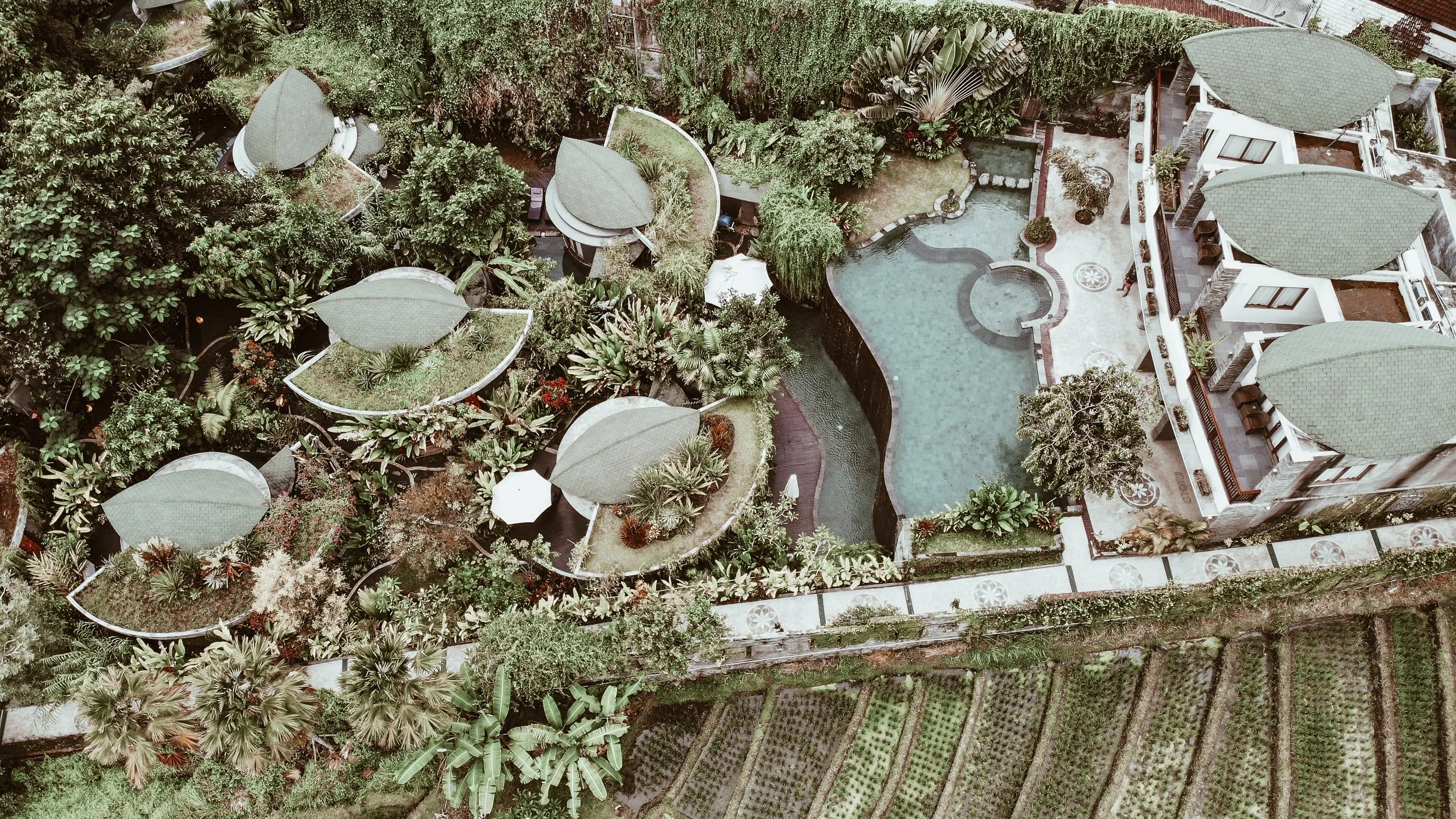 Arial (1).JPG