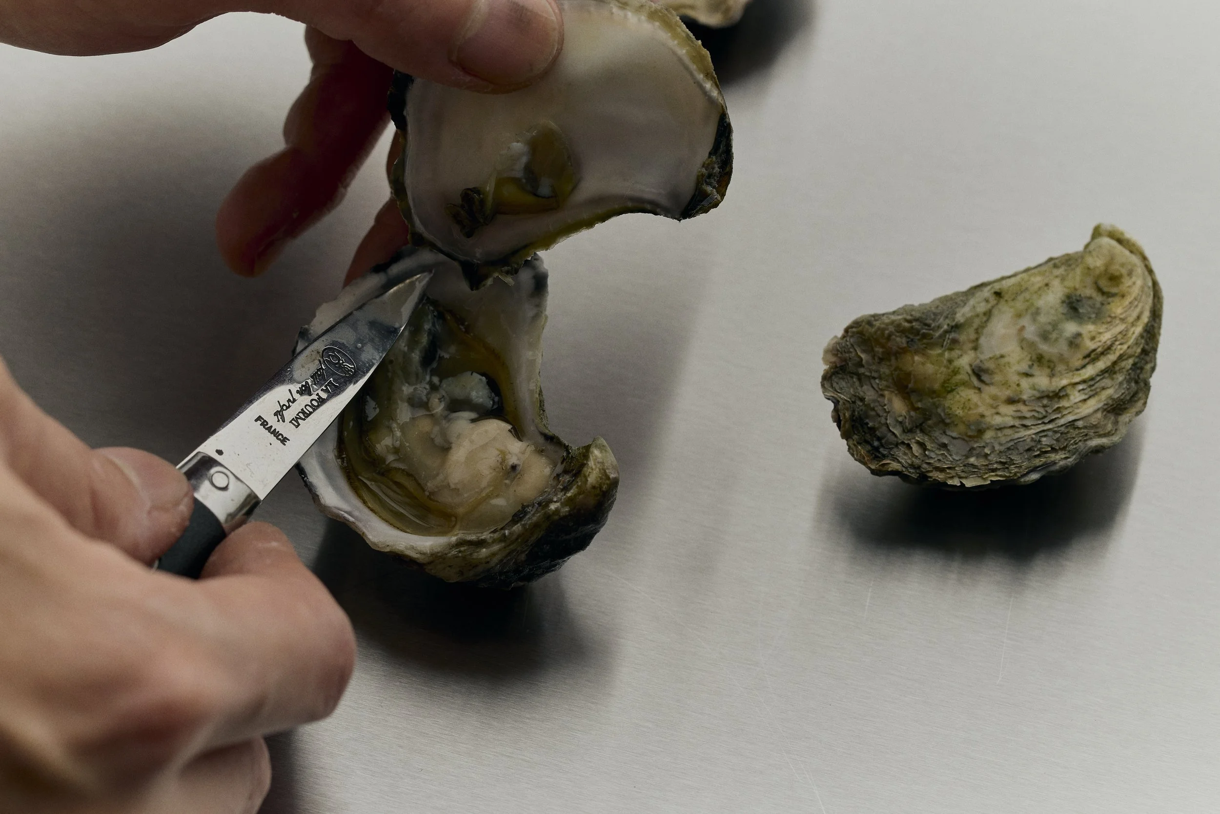 Oyster Appreciation 101