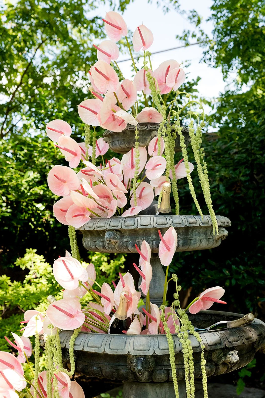 Decorative garden fountain with pink anthurium flowers and string lights, surrounded by lush green foliage.