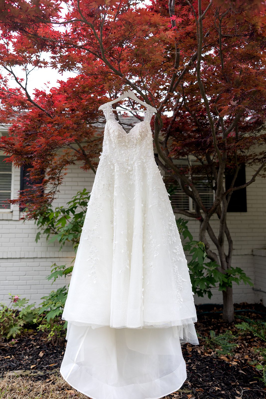 Wedding dress hanging from a tree branch with red leaves in the background and a brick house wall behind.