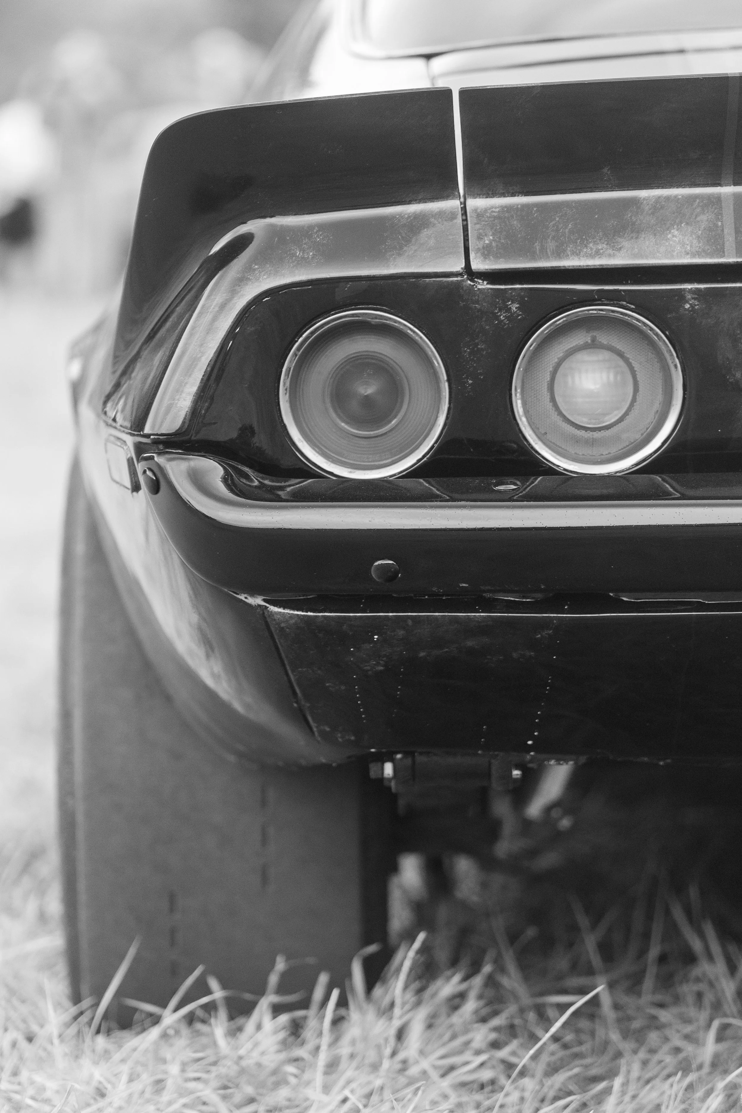 Rear View