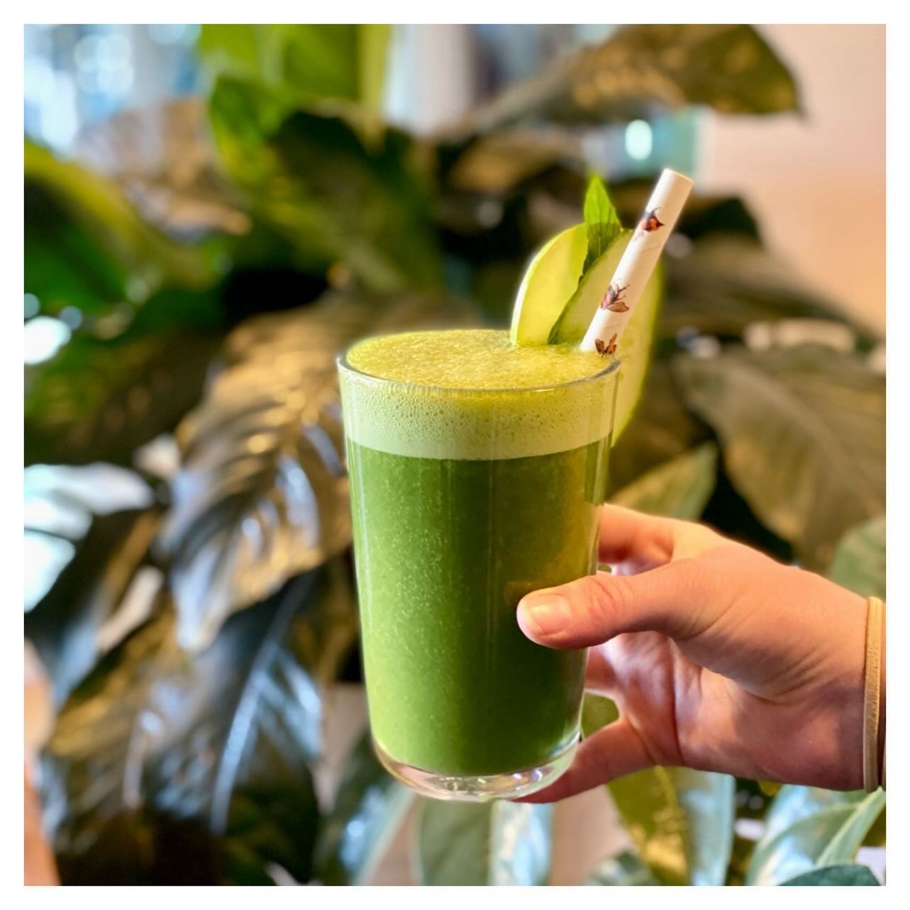Rolling into the new week with a whole lotta green goodness ..
We call it 

The Green Machine Smoothie 
Spinach, Kale, Cucumber, Mint, Banana &amp; Fresh Apple Juice blended on ice. (Vegan)

Happy Monday 😜

#birchwoodjindabyne