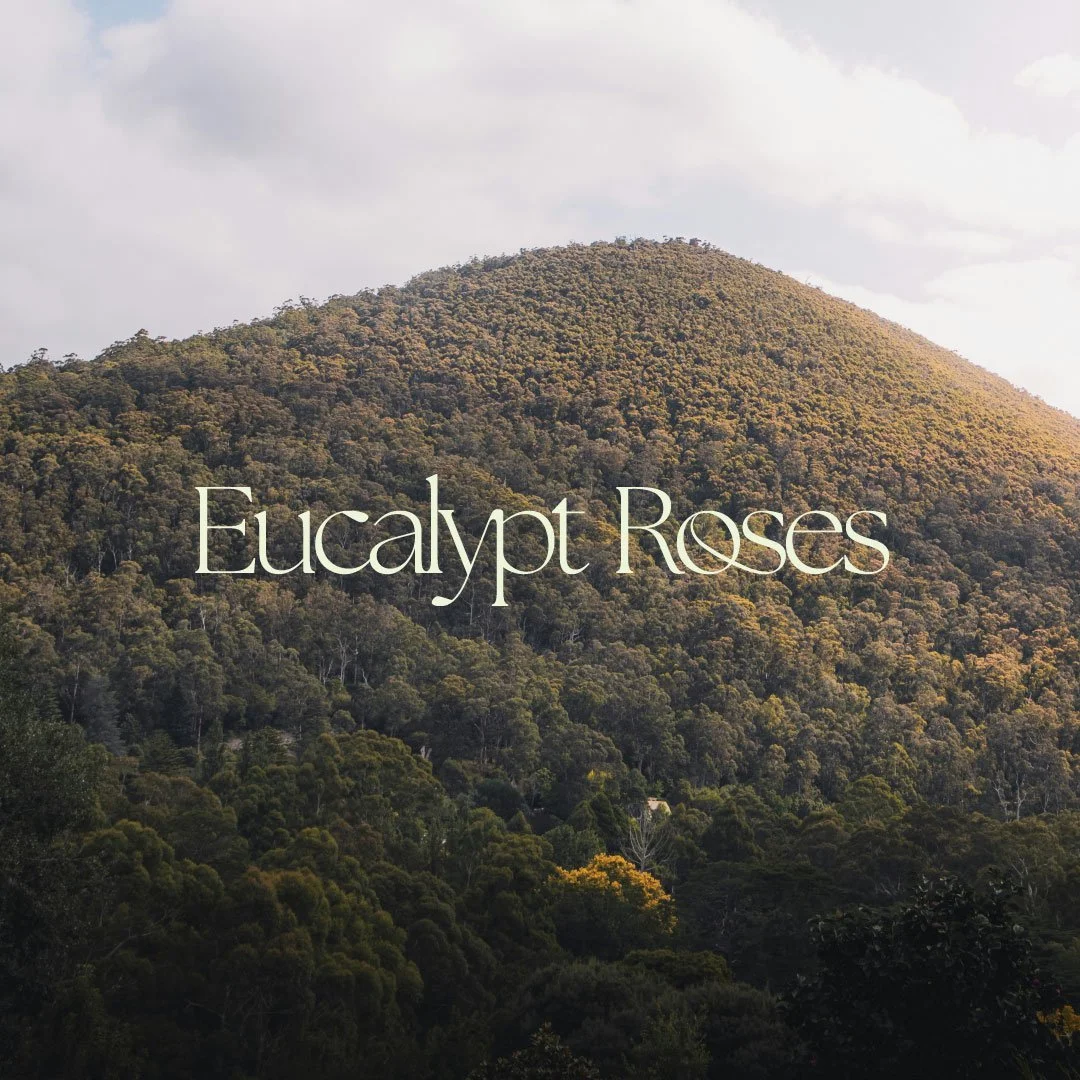 Eucalypt Roses
