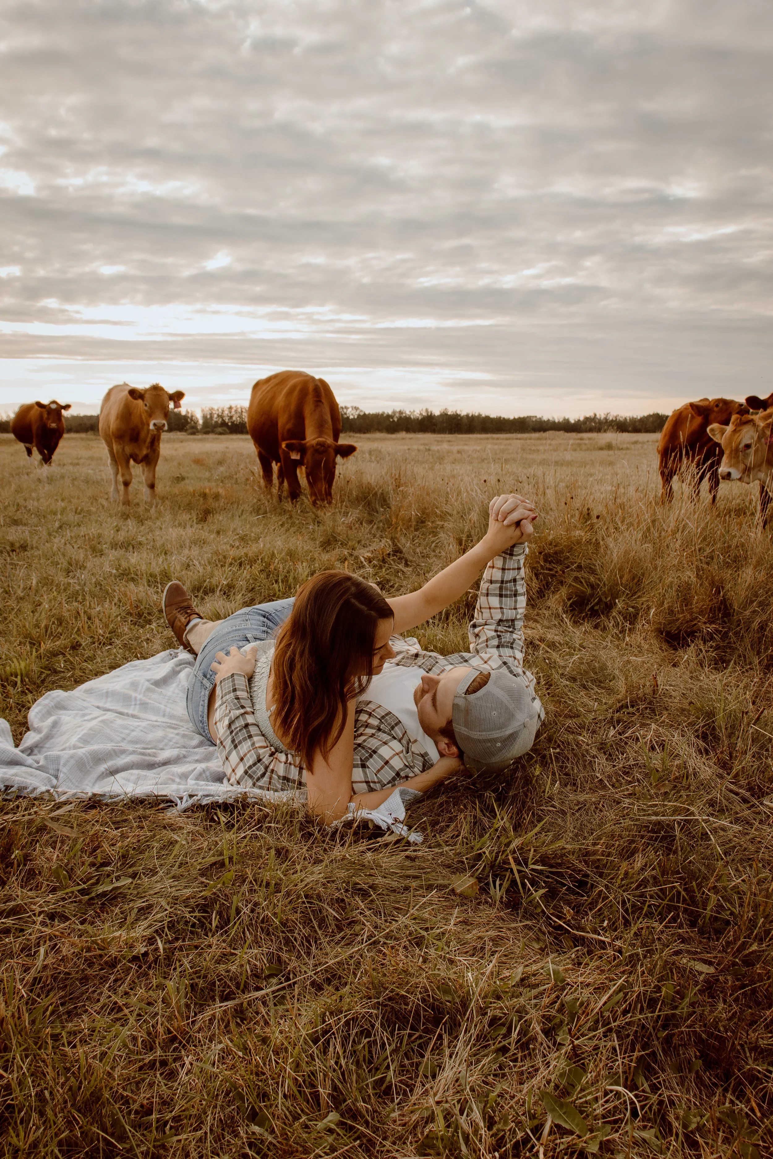 A couple lying on a blanket in a grassy field with cows grazing nearby, under a cloudy sky during sunset.