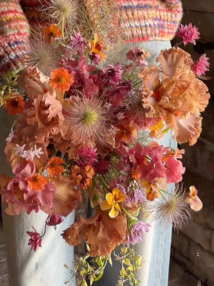 You may be wondering, why are you talking about bearded iris in November but the answer is MY AMAING FRIENDS @fallsandstandards_ created an IRIS BOOK that you absolutely need in your life. 

I had the joy and pleasure of visiting them this year durin