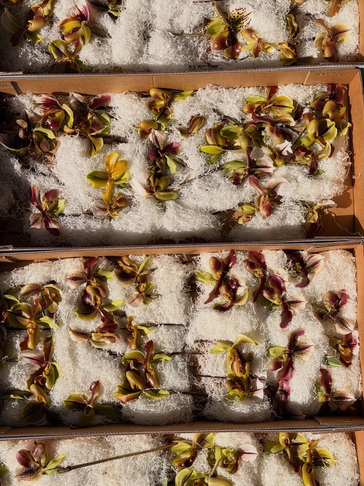 Wow wow wow. I drove home every single night during this workshop week just filled up with conversation, flower ideas, excitement, &amp; so much joy in the act of coming together to design. 

Thank you SO much to every person who attended our worksho