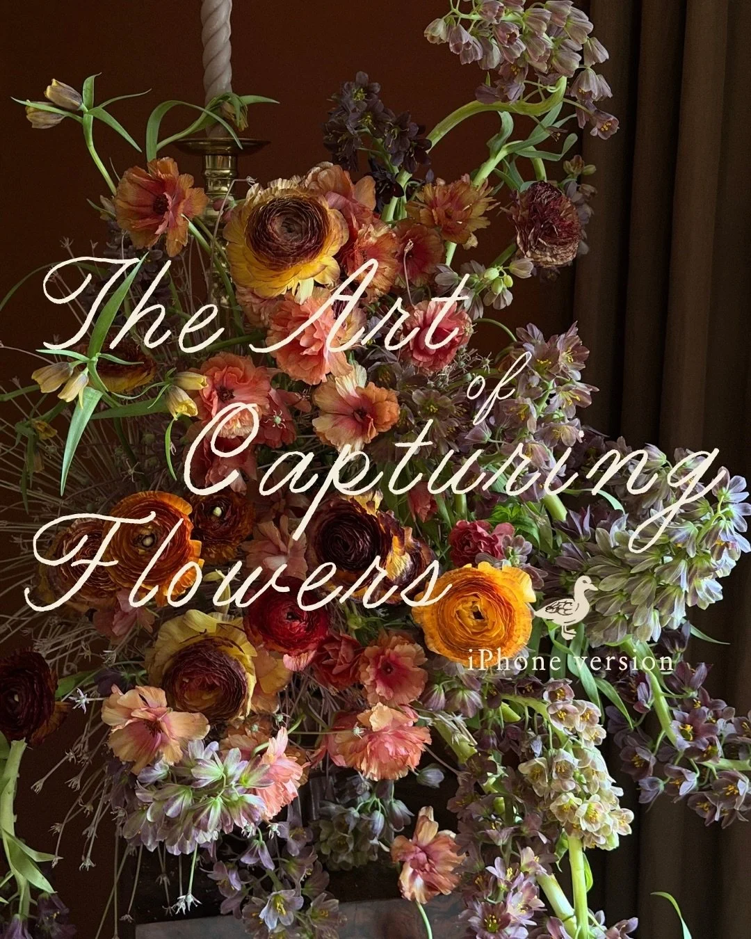 I made a mini course!! 

And it&rsquo;s all about iPhone capturing for FLOWERS specifically because, well, that&rsquo;s what we do here right? As much as I love getting my larger cameras out for bigger moments, the one thing I always have in my pocke