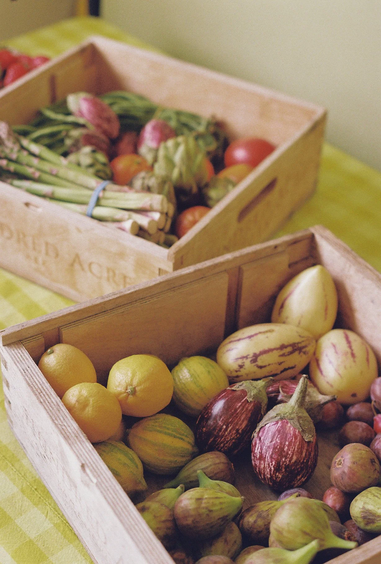 Foto 4-16-25, 3 01 00 PM (1).jpg