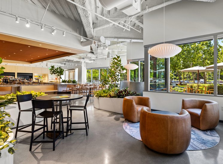 the branch restaurant cafe