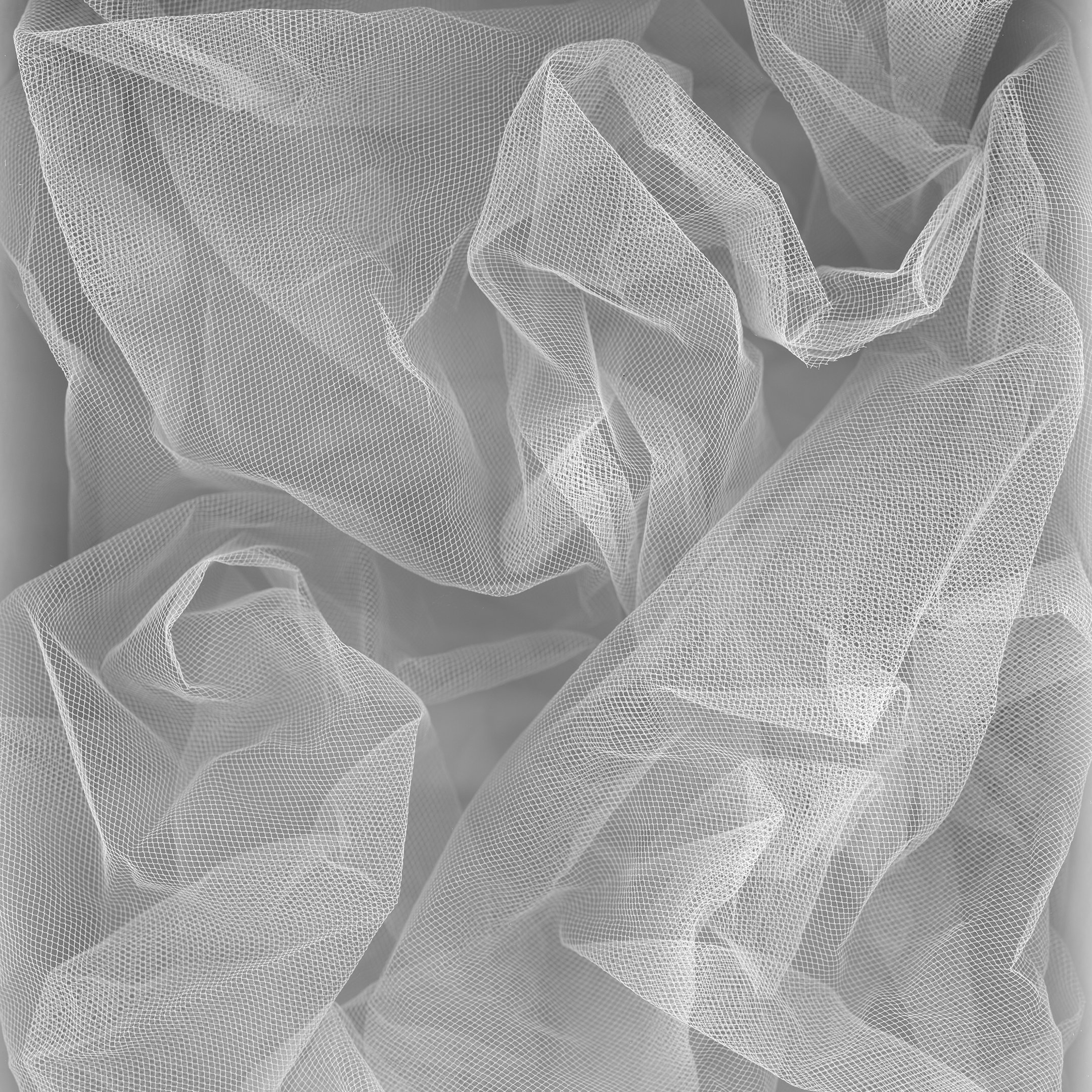 Acclimations 3, 2023
Archival Pigment Print on Hot Press Natural cotton rag paper.
22 x 17 in.