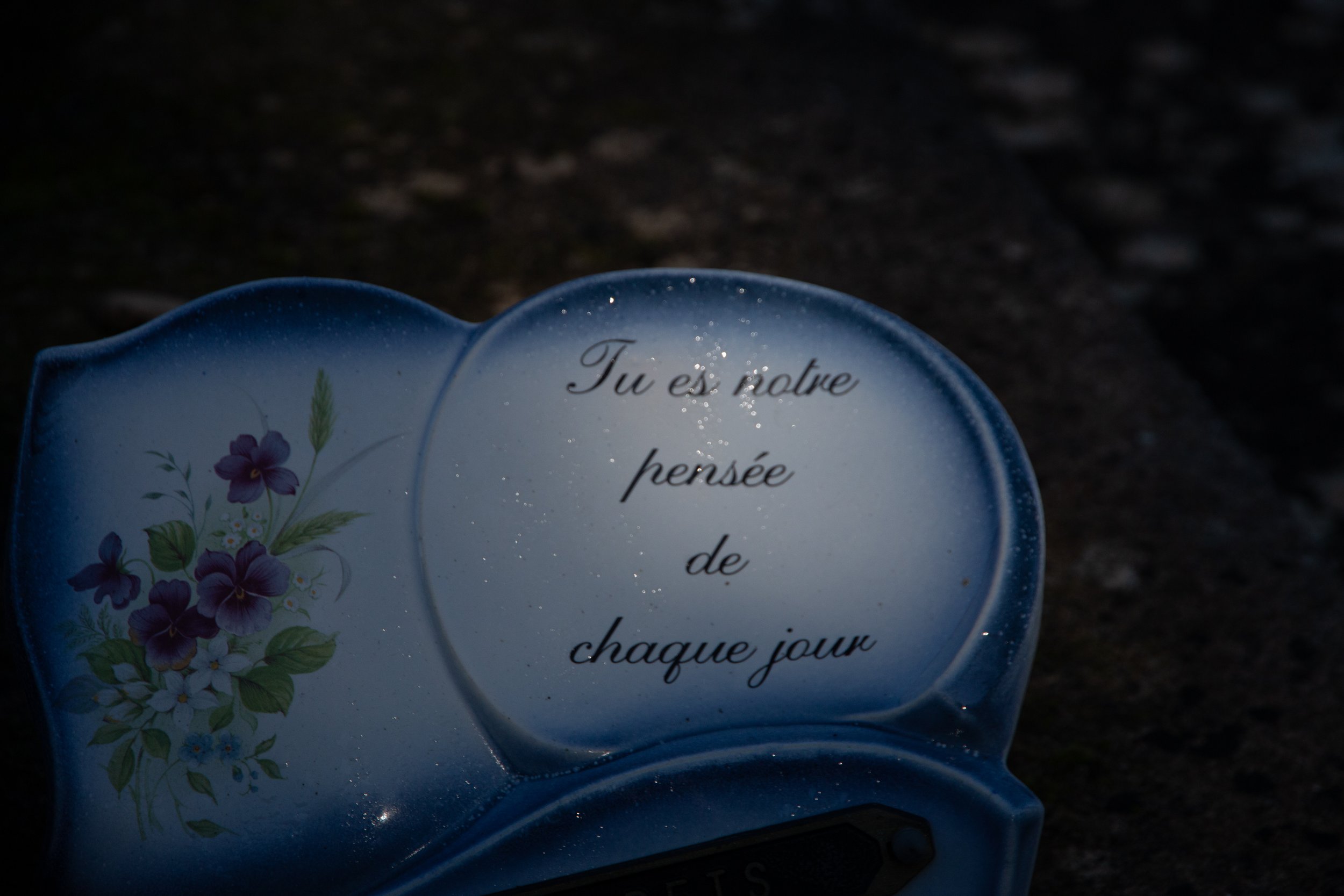 _MG_6982.jpeg