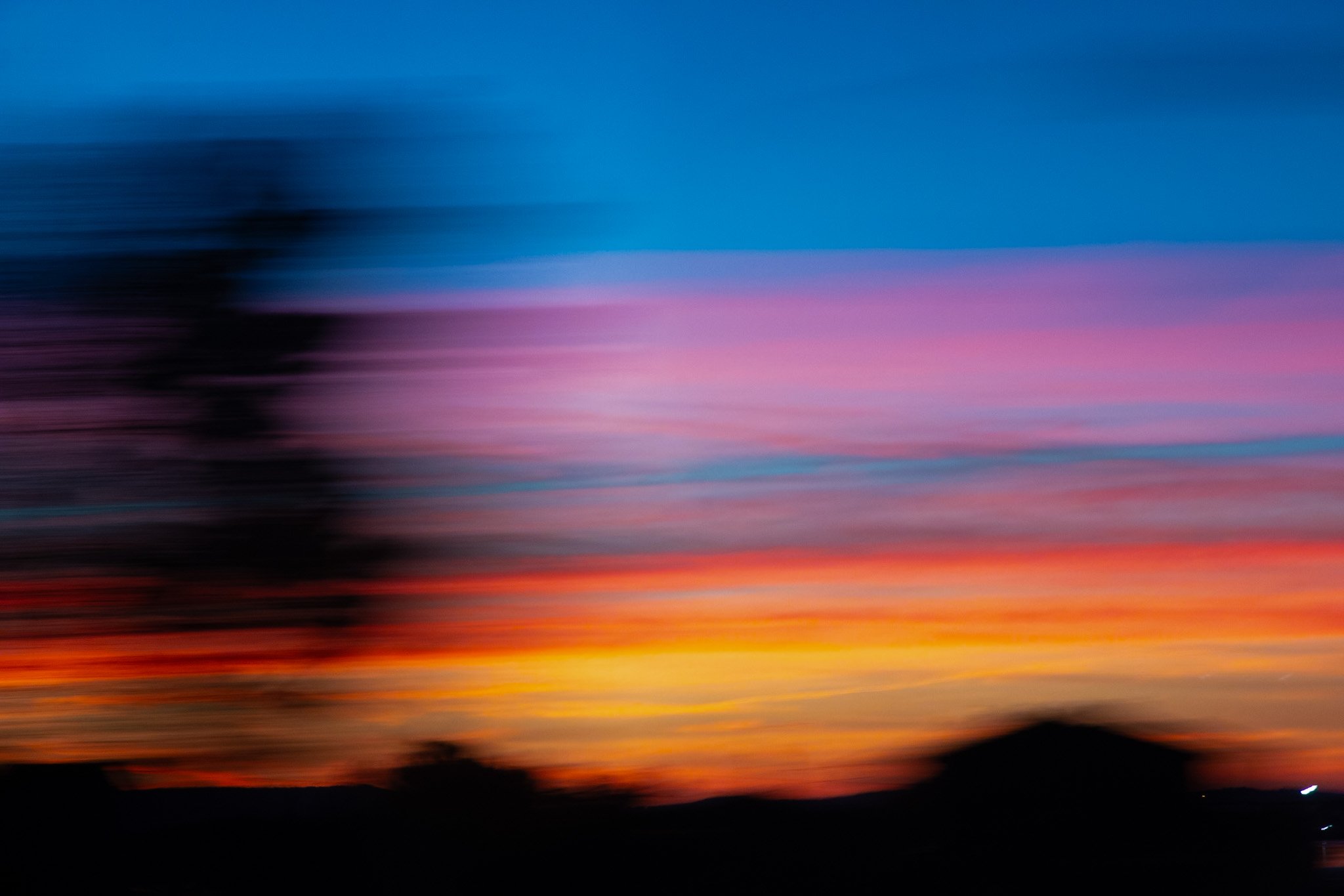 _MG_5472.jpg