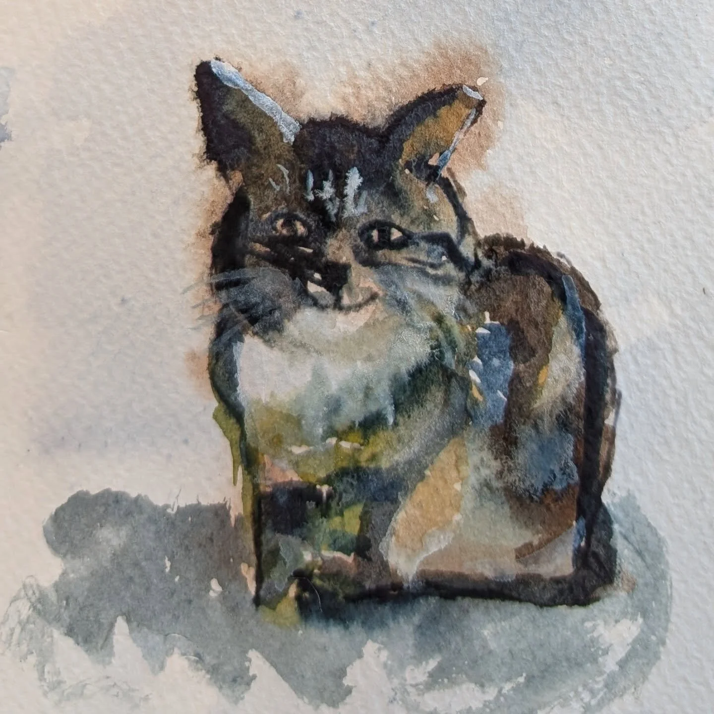 A very dear friend of mine had to say goodbye to her cat this week. She was such a sweet, gentle soul - this doesn't do her justice but maybe I got something of her spirit 🤎